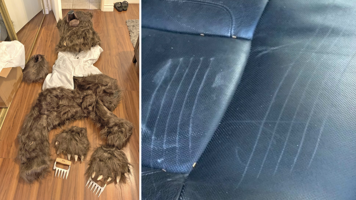 The California Bear Insurance Fraud That Was Actually A Human In A Costume