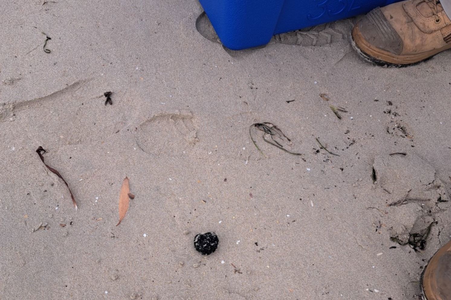 More mysterious black ﻿spheres have washed up in Sydney, prompting a local council to start a clean-up operation.