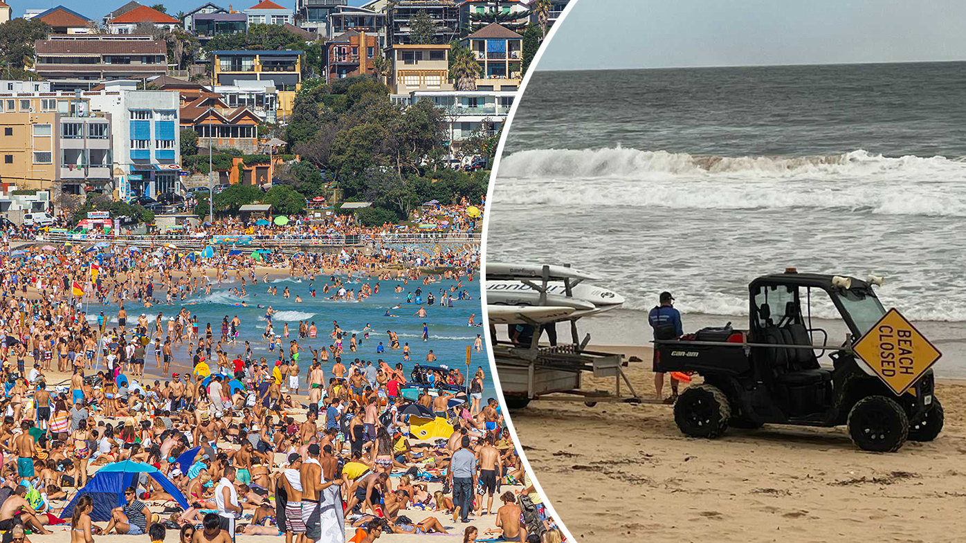 Beaches set to reopen in time for long weekend after shark attacks