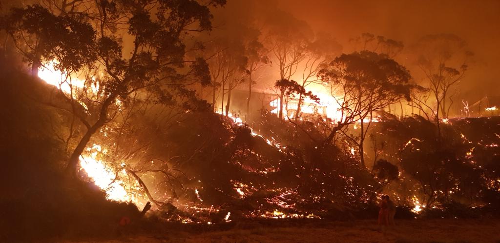 NSW 2019-20 Bushfire Inquiry Images