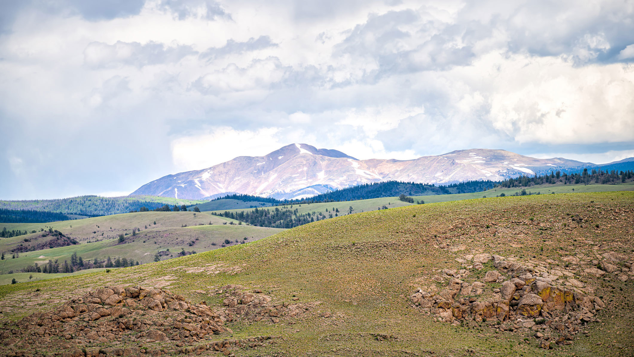 The trio were found in a tent down the road from a campsite in the Gunnison National Forest.