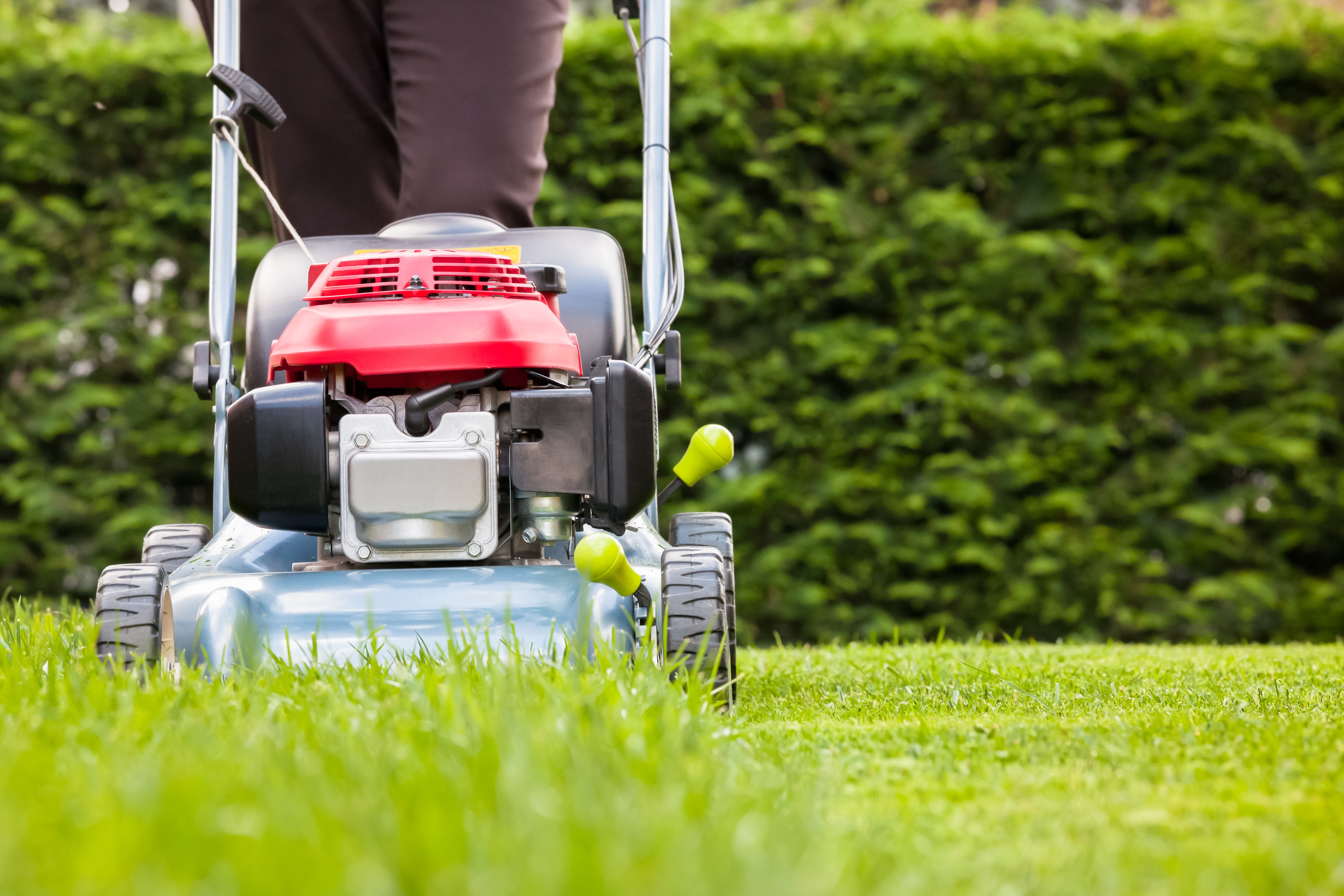 Mowing the lawn is just one of the suggestions in the letter.