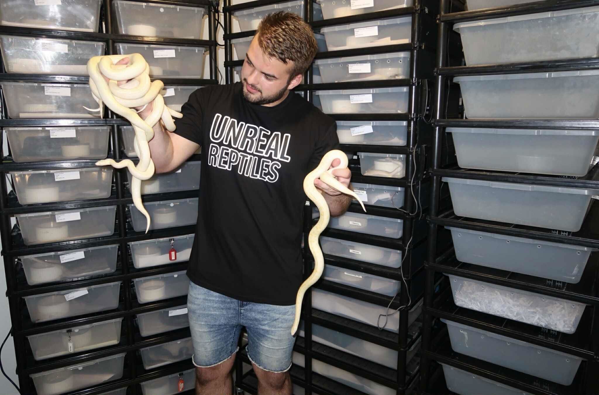 Jake Thomas from Unreal Reptiles with a handful of snakes.