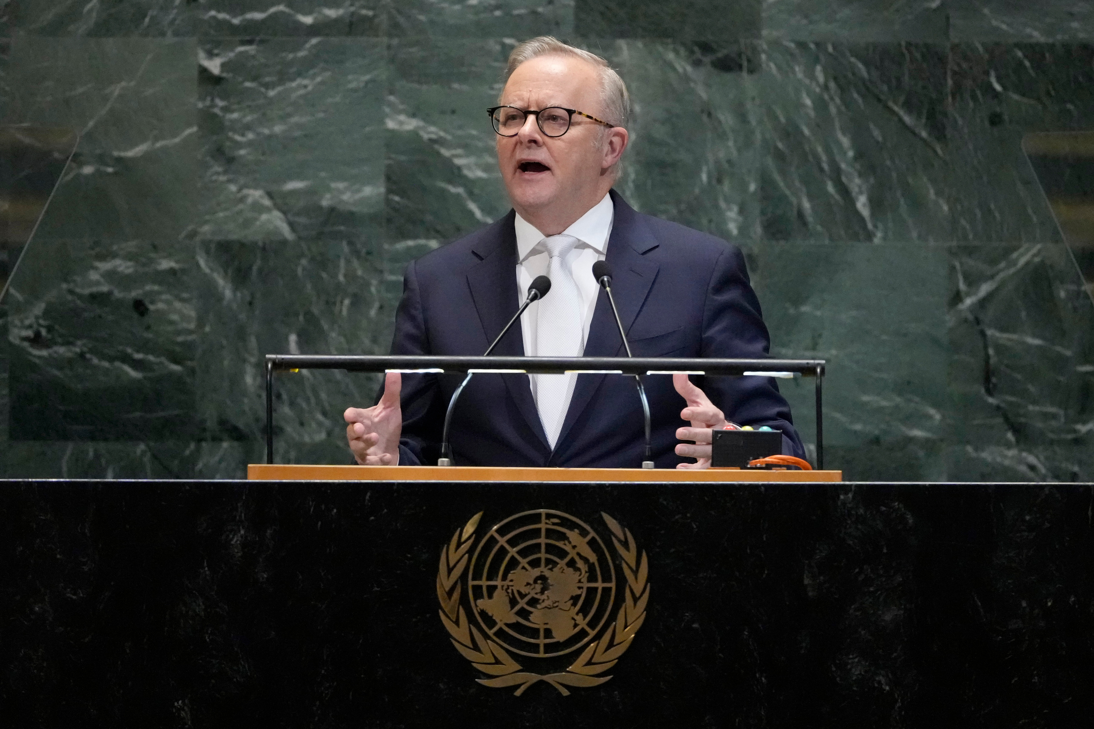 World 'cannot expect' US to lead, Albanese says in UN speech