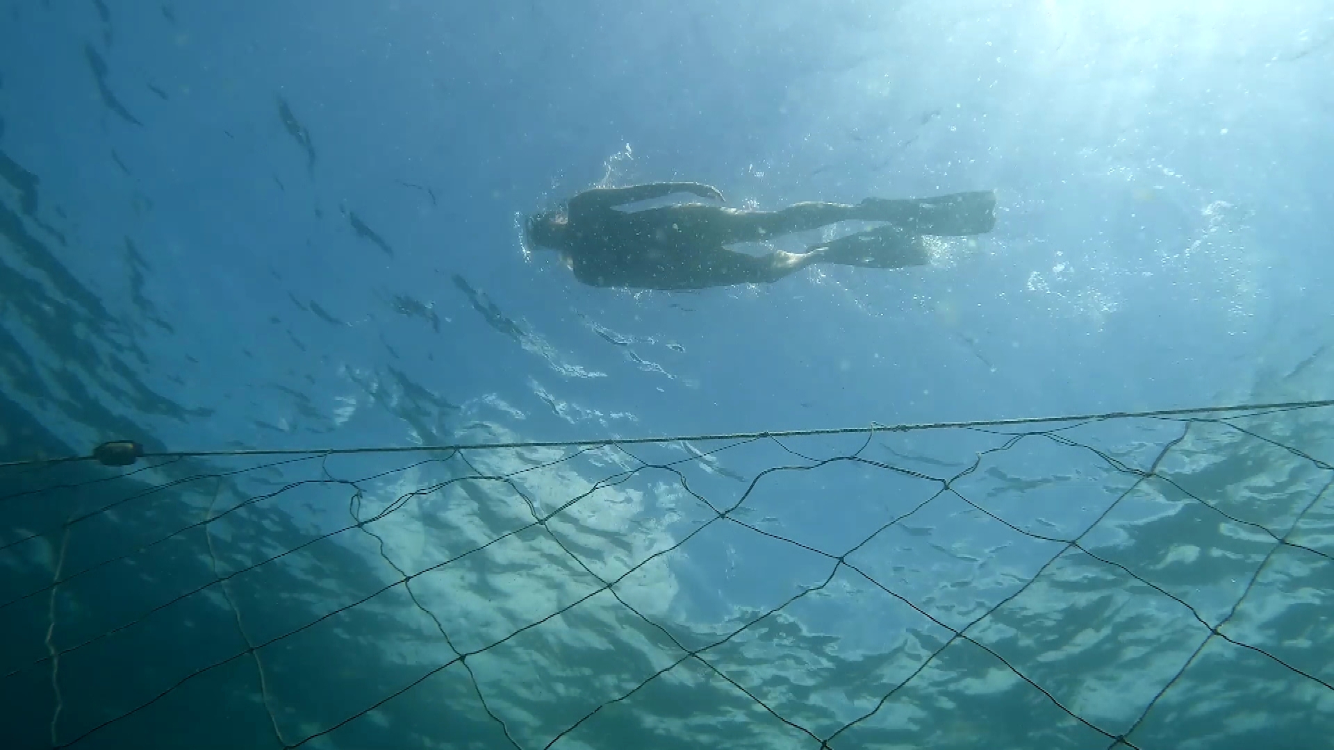 Shark-spotting drones to be deloyed at unpatroleld NSW beaches