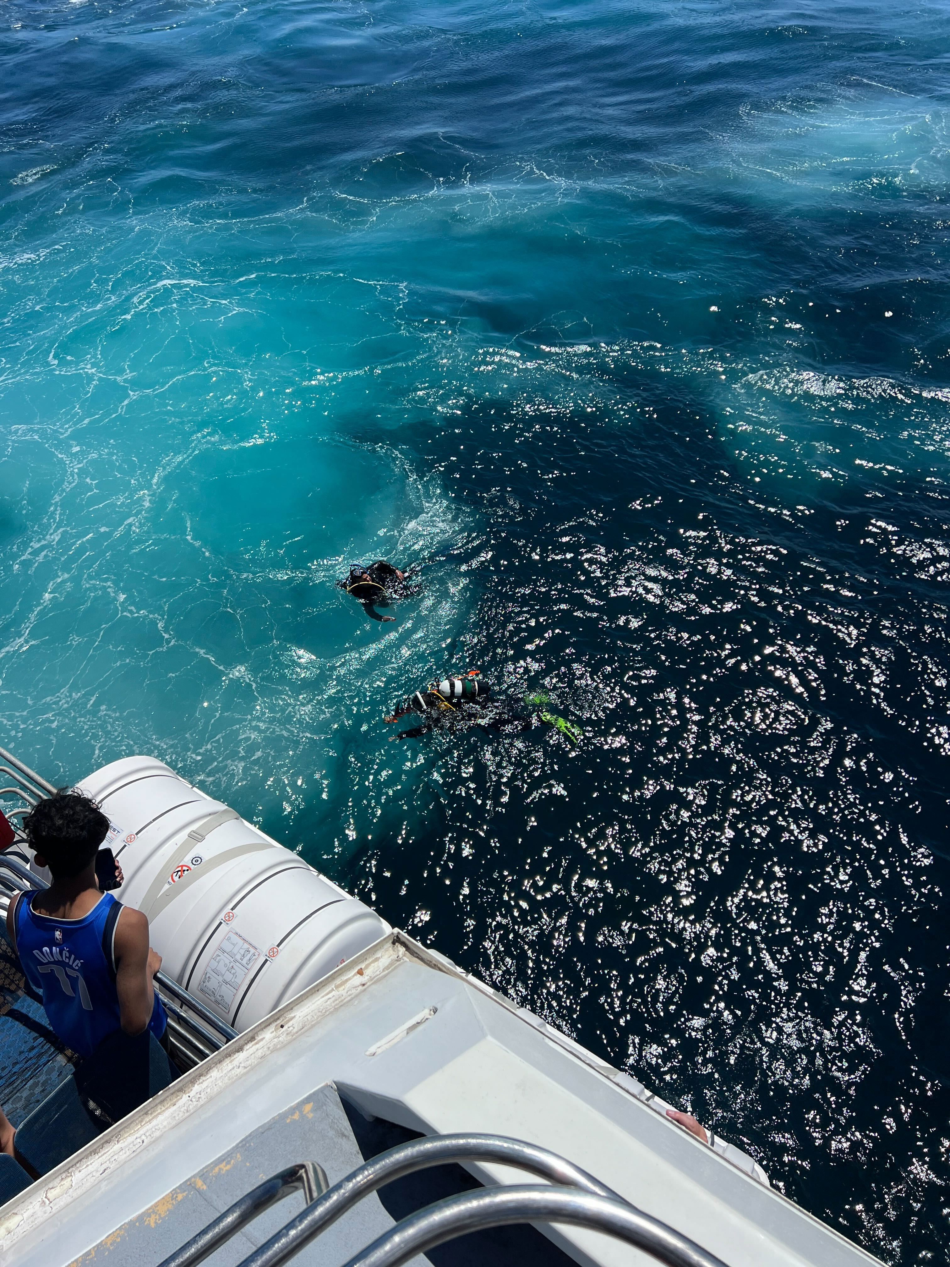 Ferry passenger spots scuba divers in water