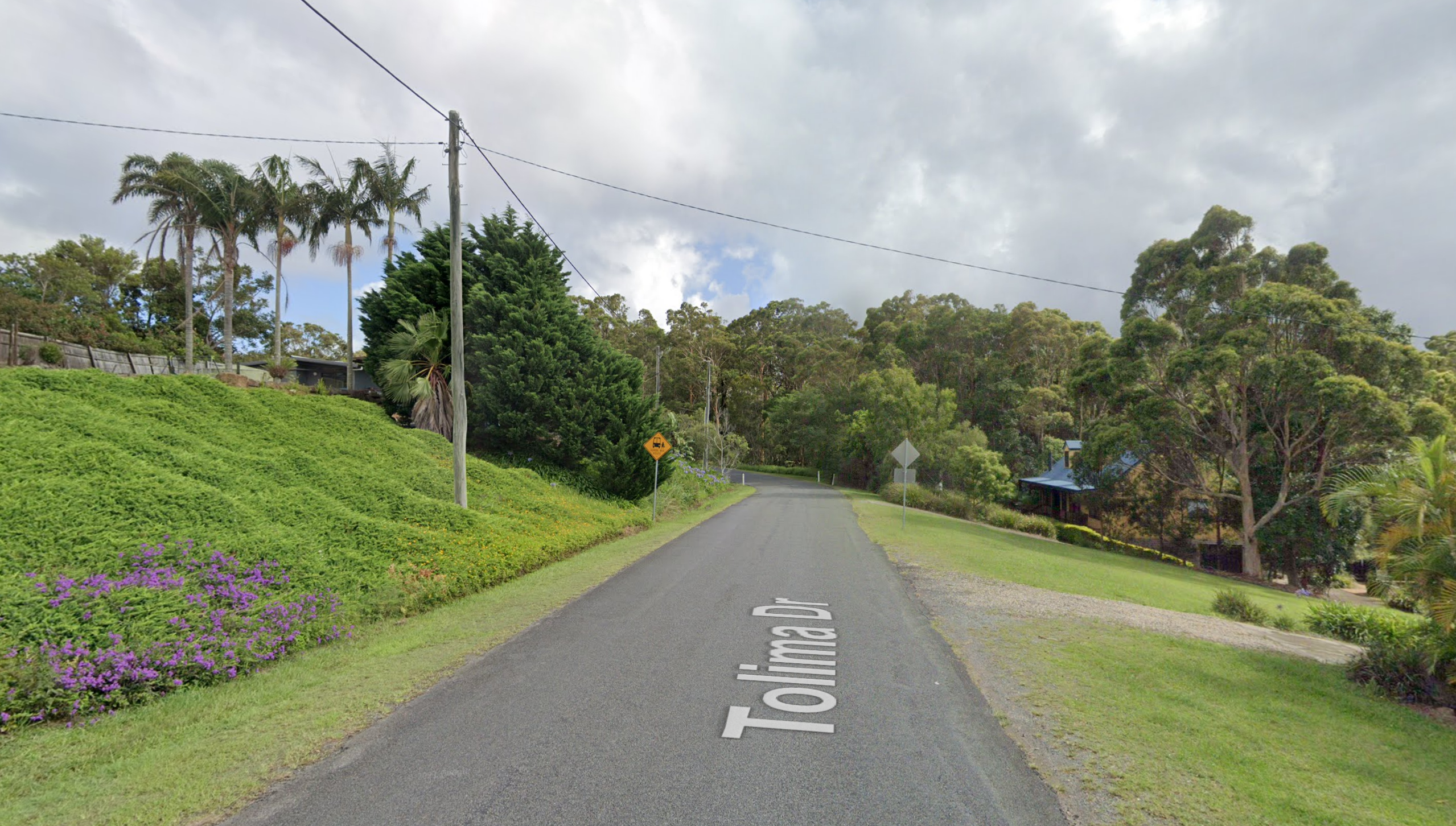 Queensland Police have launched a murder investigation after a man was found dead in a home on Tolima Drive in Mount Tamborine.