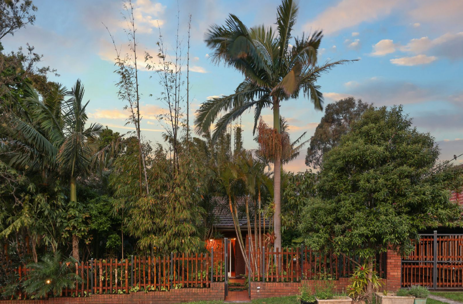 Home in Sydney's Earlwood that feels like a sanctuary.