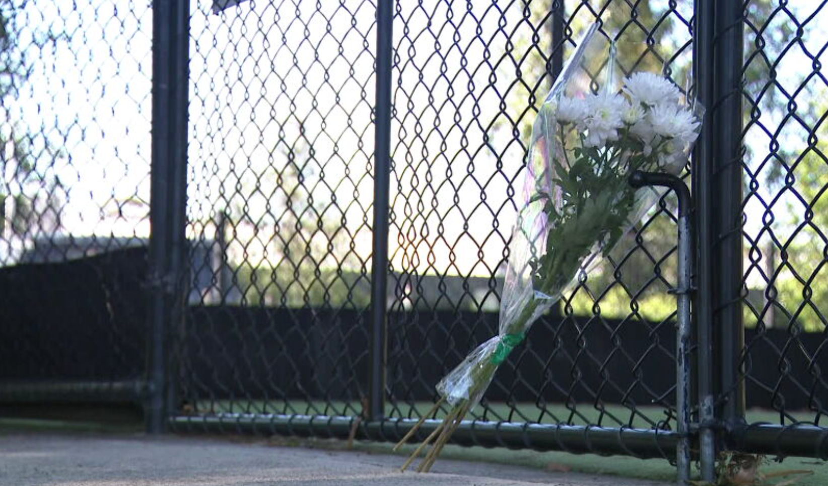 Cricket player fighting for life after being hit by ball in head and neck area Ferntree Gully