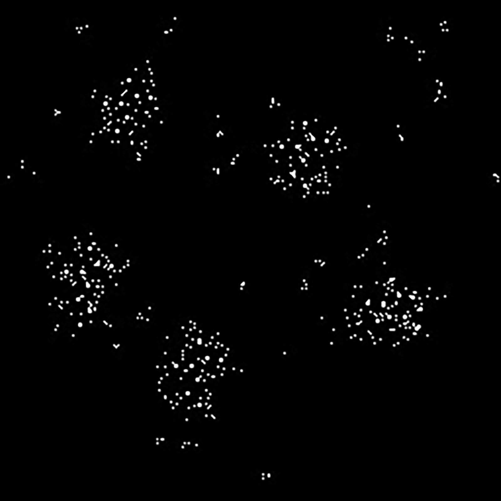 Una comunidad de científicos ciudadanos se refiere a la visualización original de los datos extraídos como el "mapa estelar."