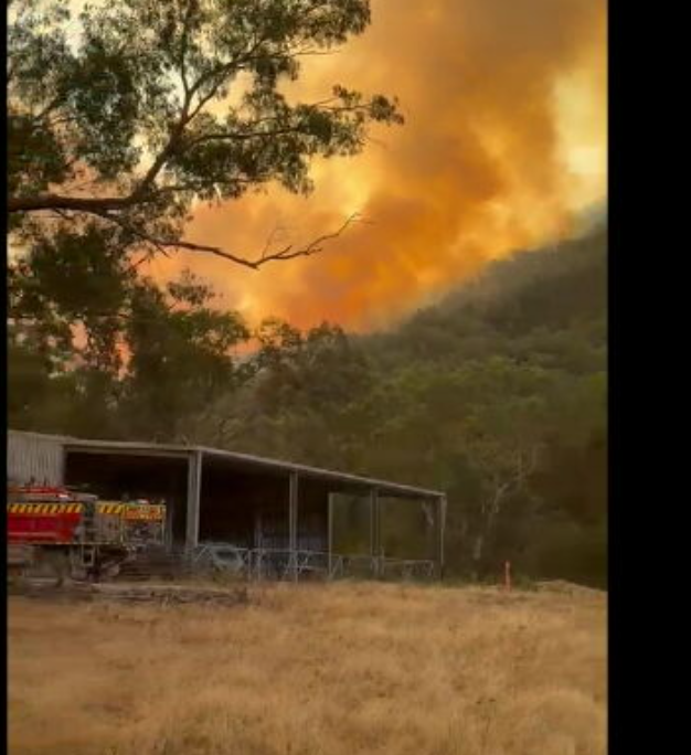 The Walwa fire continues to burn through Mt Lawson State Park.