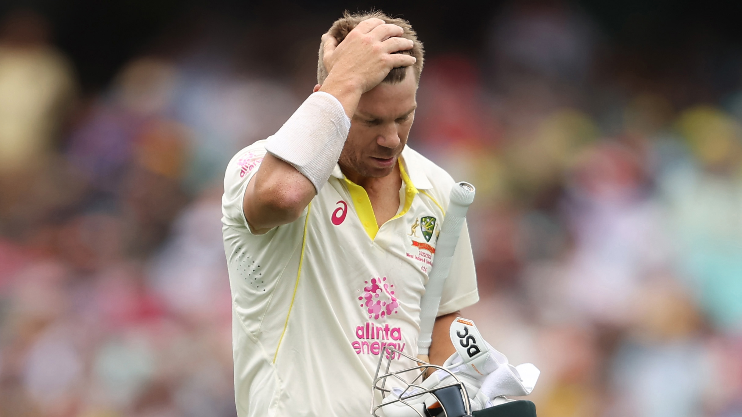 David Warner looks dejected after being dismissed.
