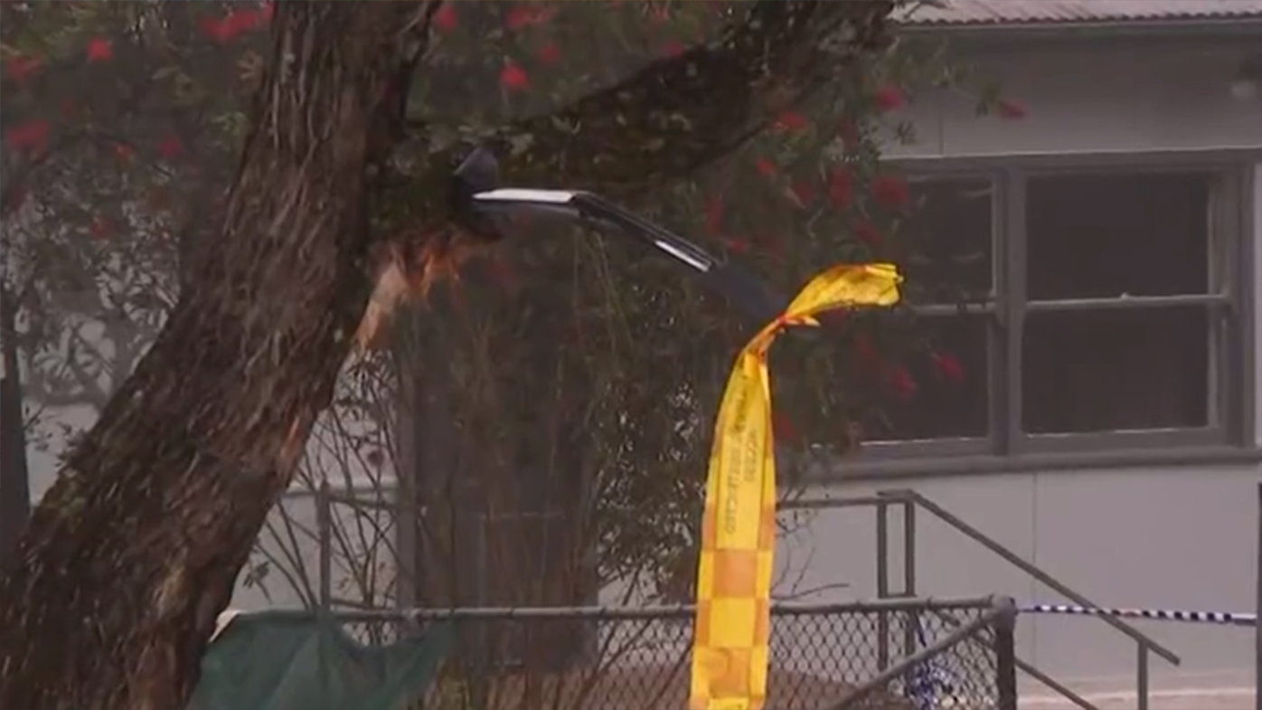 Roof racks from the car were impaled on a tree outside the home.