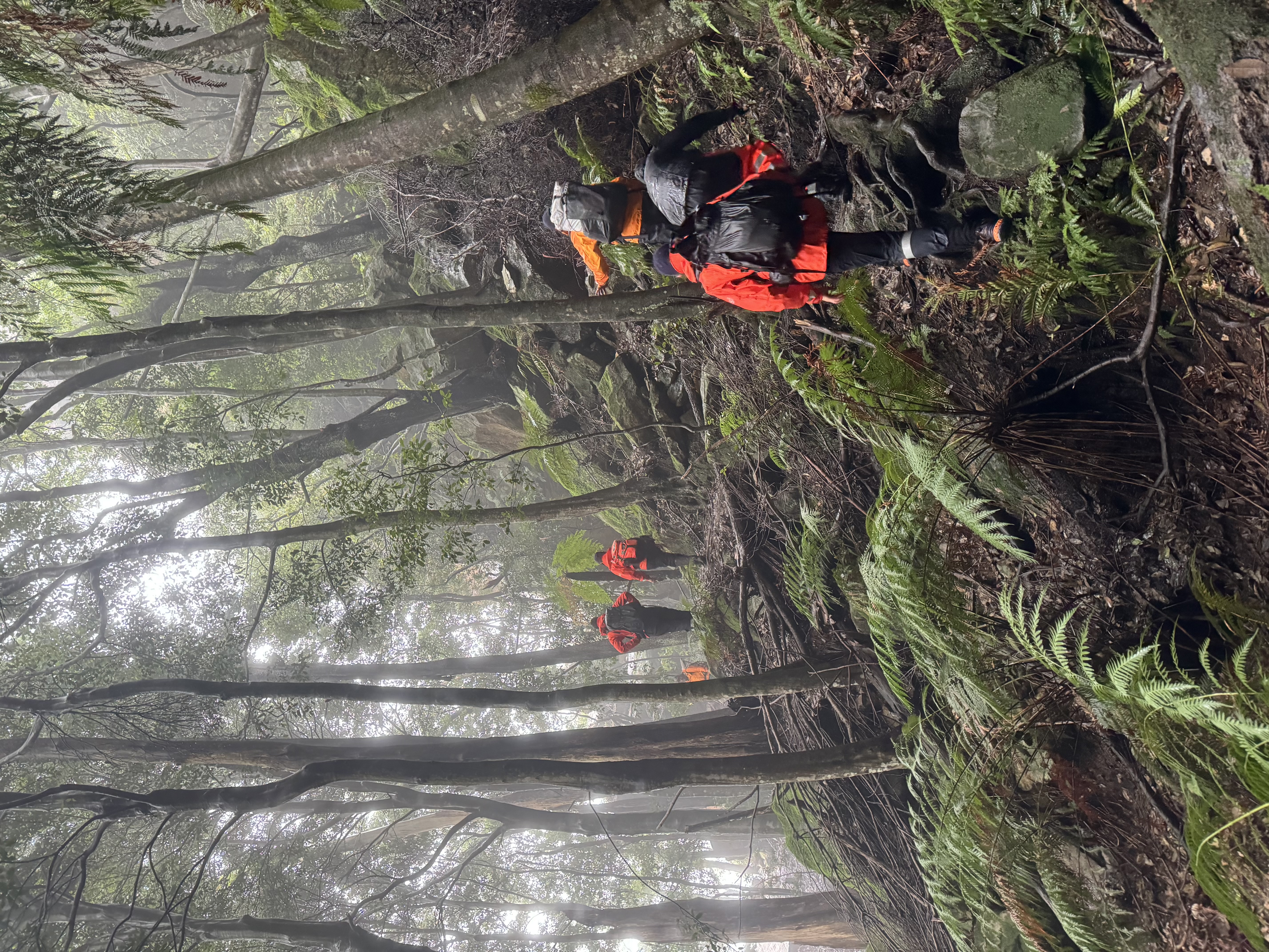 Bushwalker