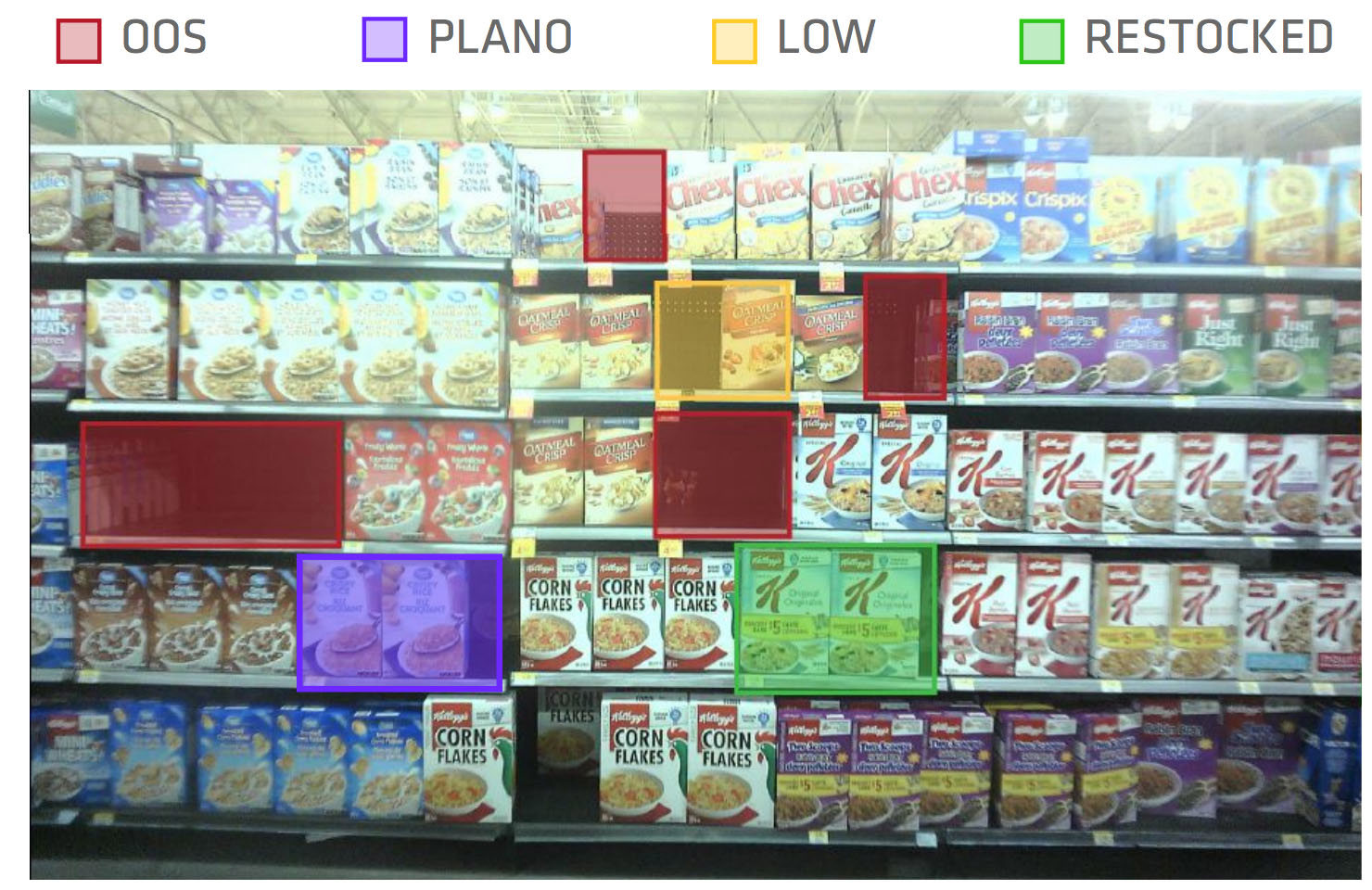 Hundreds of tiny cameras installed in Woolworths shelves Mingooland