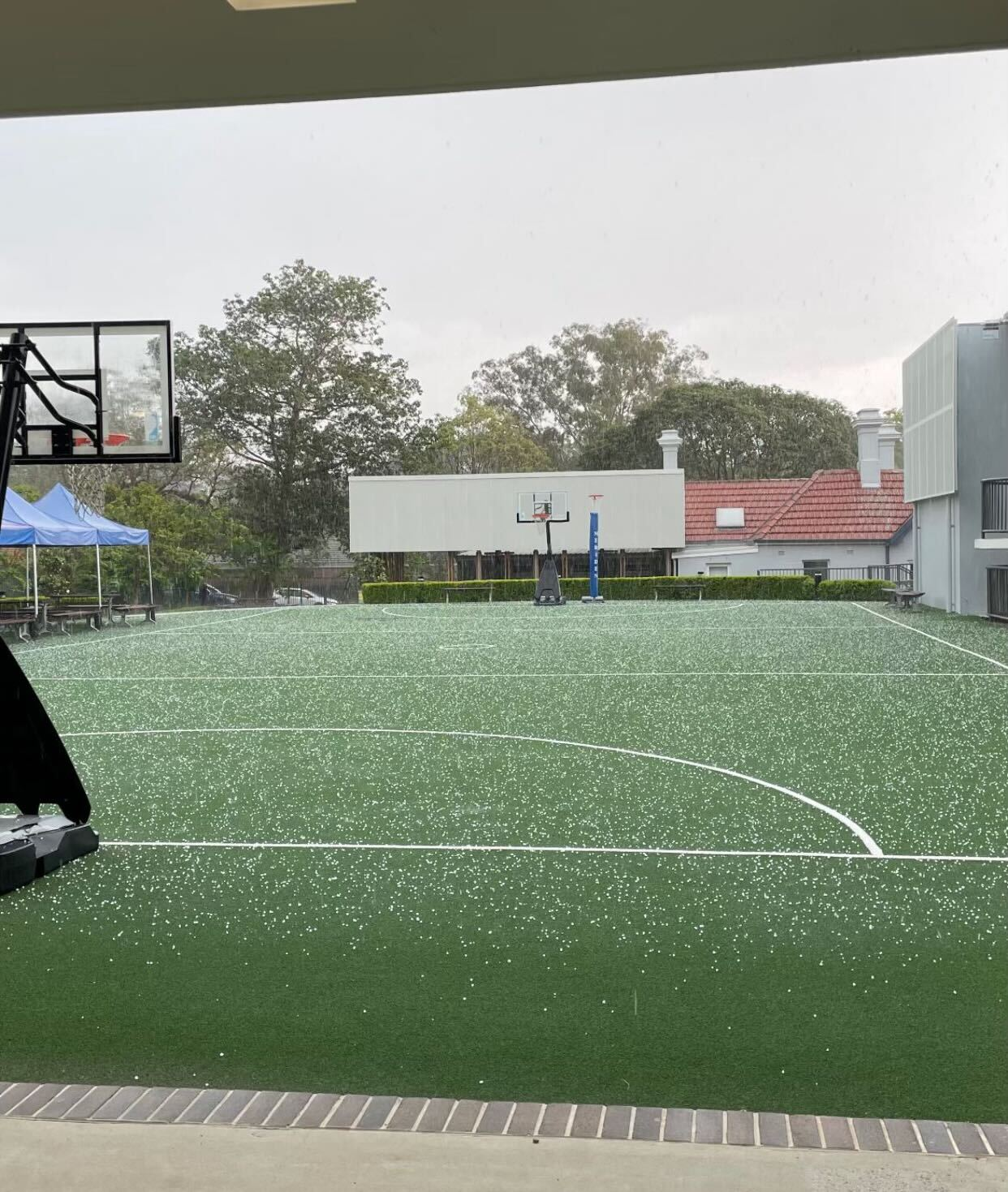 Strathfield in Sydney's Inner West was also hit by a sudden blast of hail.