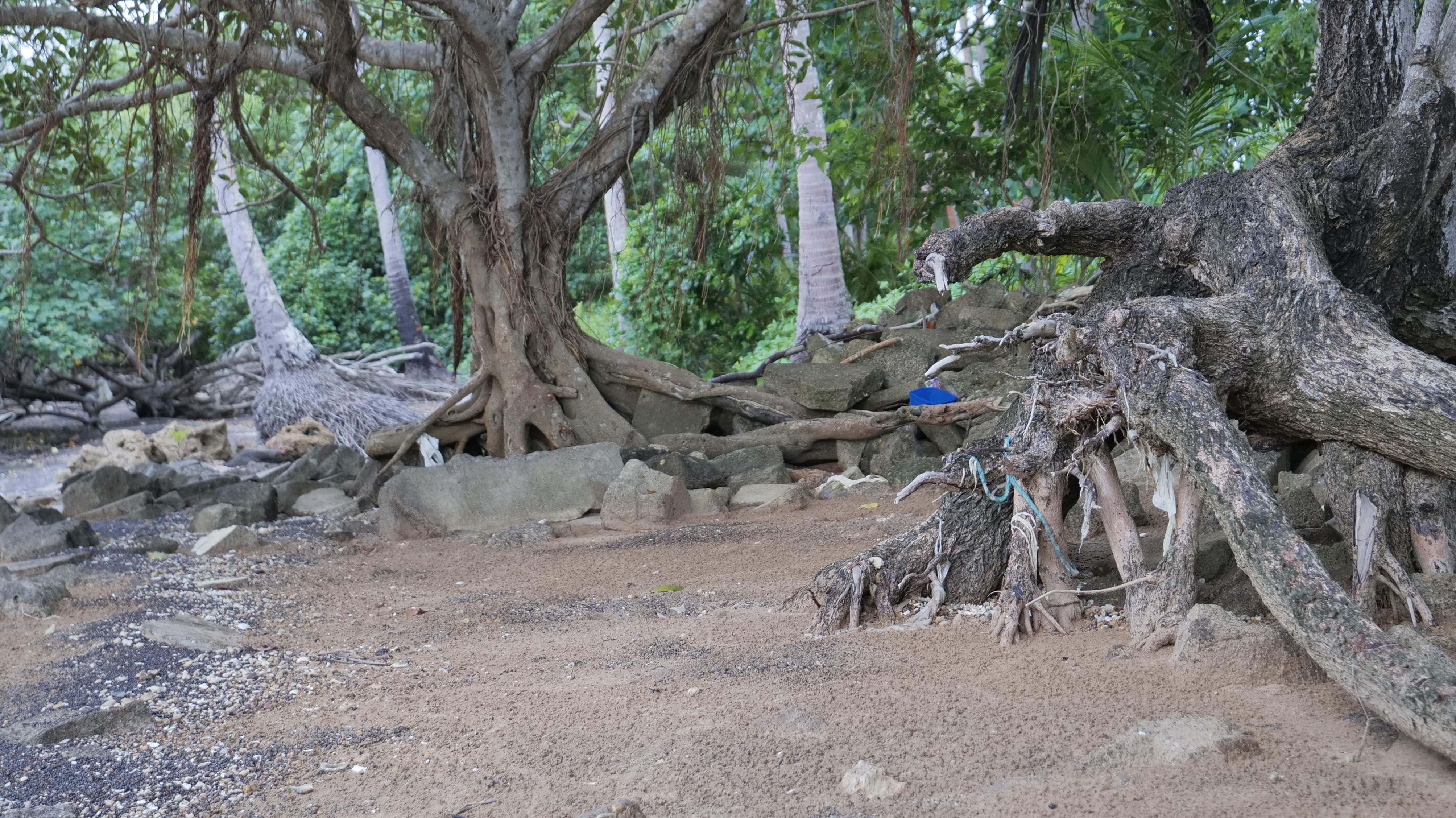 Torres Strait Islands Federal Court climate case on-country evidence June 2023.