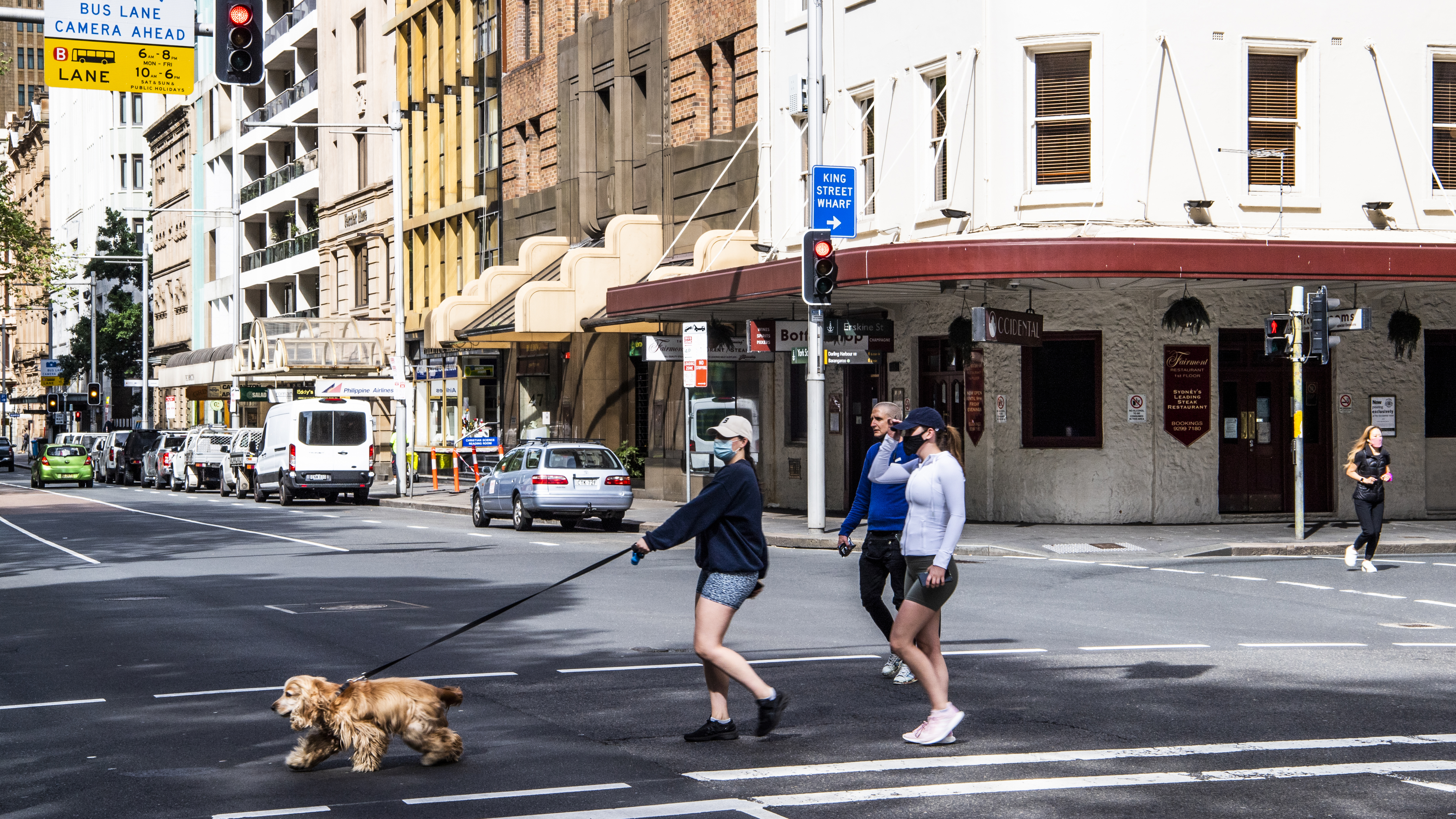 People walking a dog in Sydney CBD.