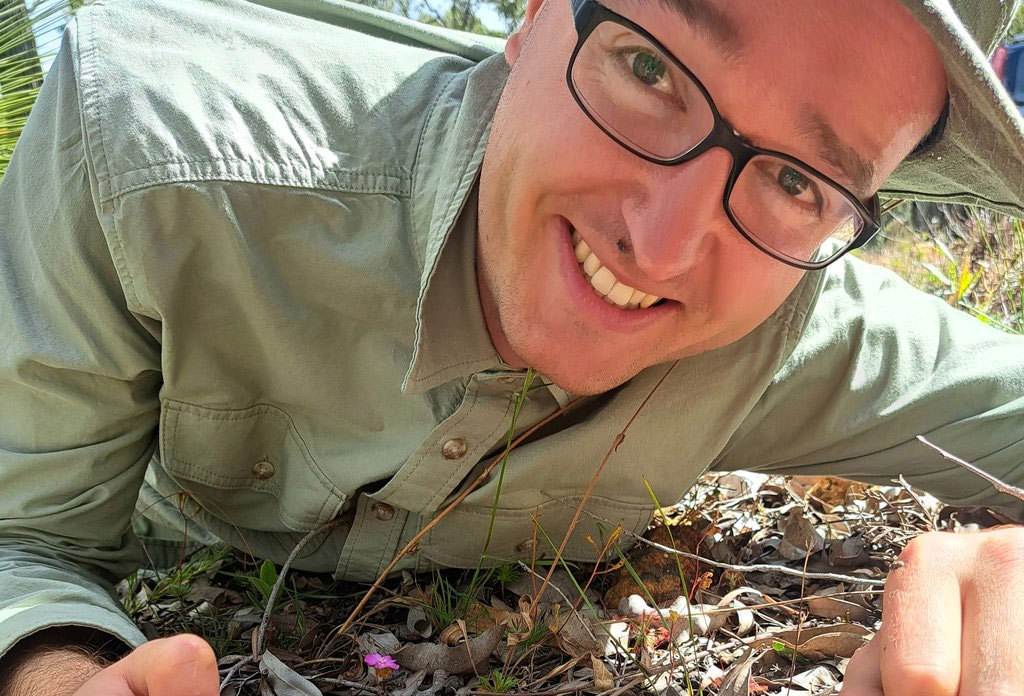 The plant captures and digests tiny insects using its leaves which are covered with sticky tentacles.
