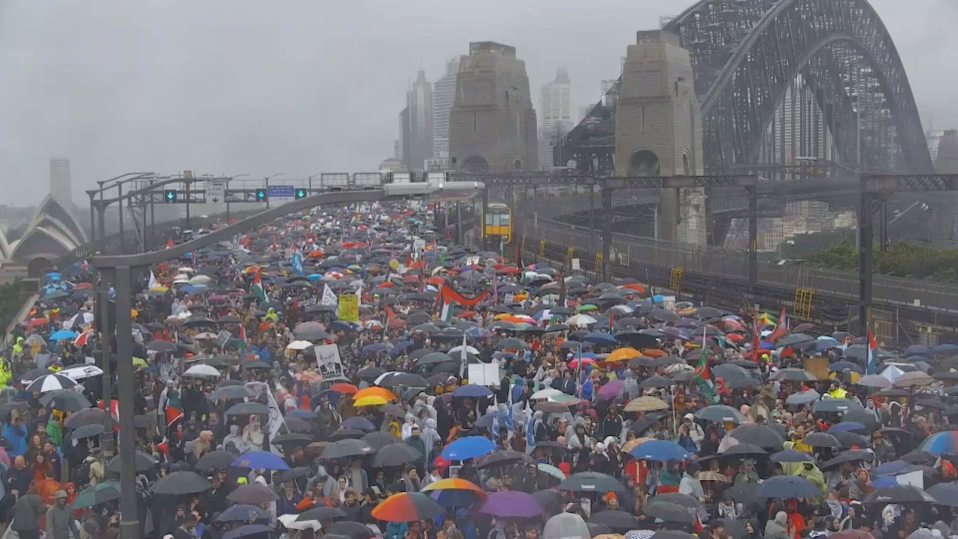 A shot from above shows the scale of the protest, as thousands joined to march across the Sydney Harbour Bridge for pro-Palestine.
