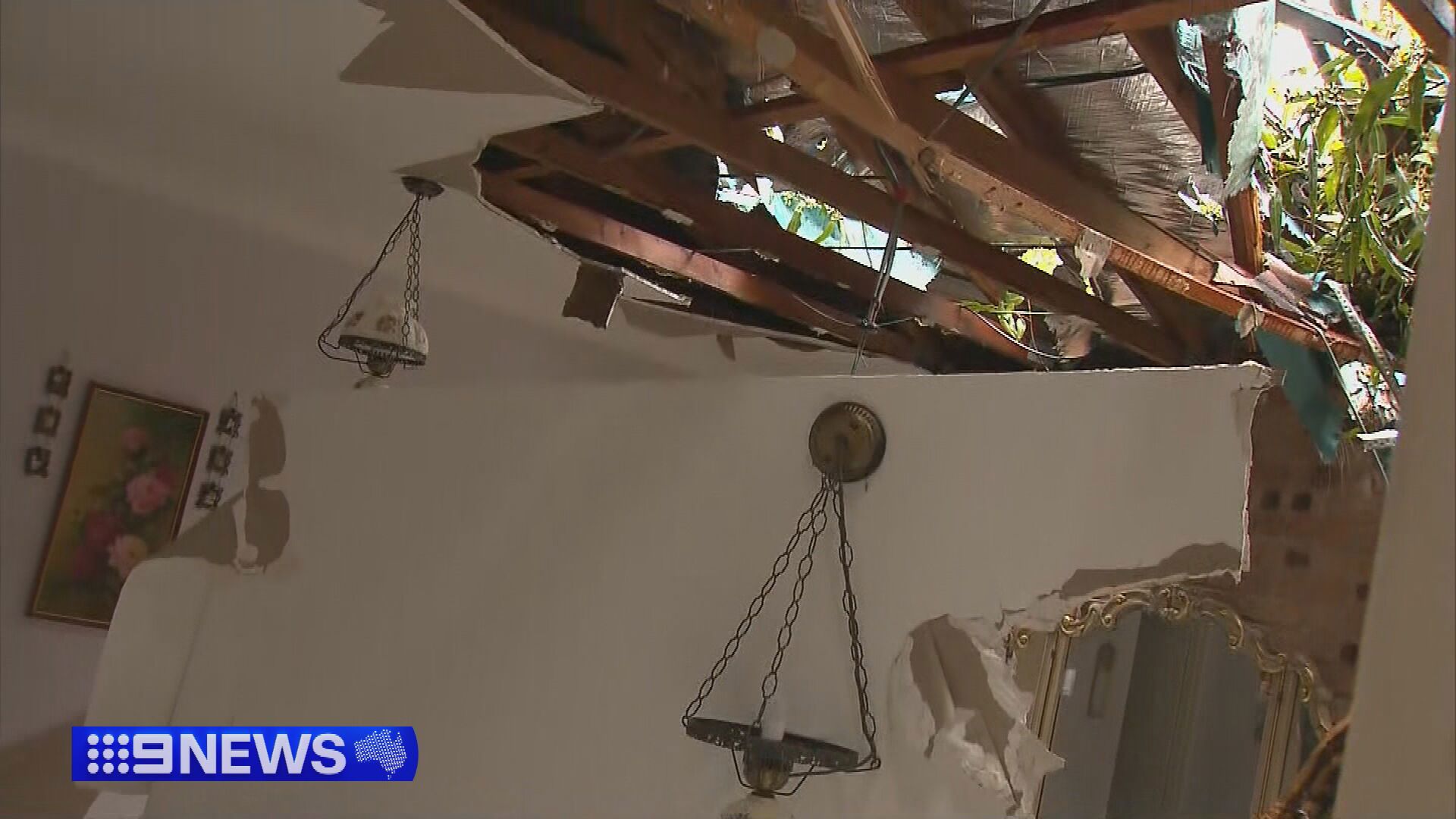 Destructive winds are tearing down trees across south-east Queensland, including one that fell on a woman's home in Mudgeeraba.