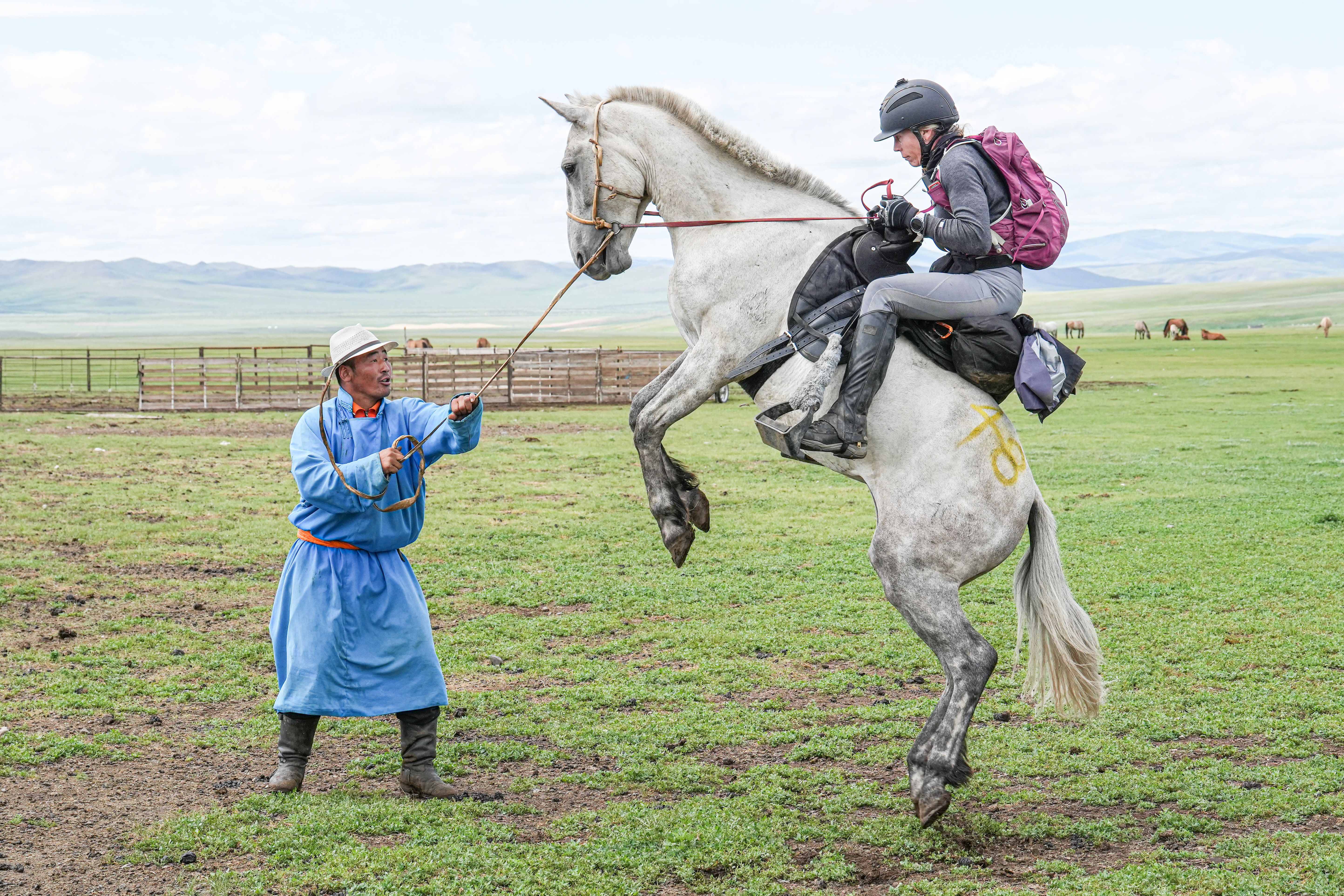 Di Pasquale said the Mongolian horses used for the race "are notorious for being semi-wild".