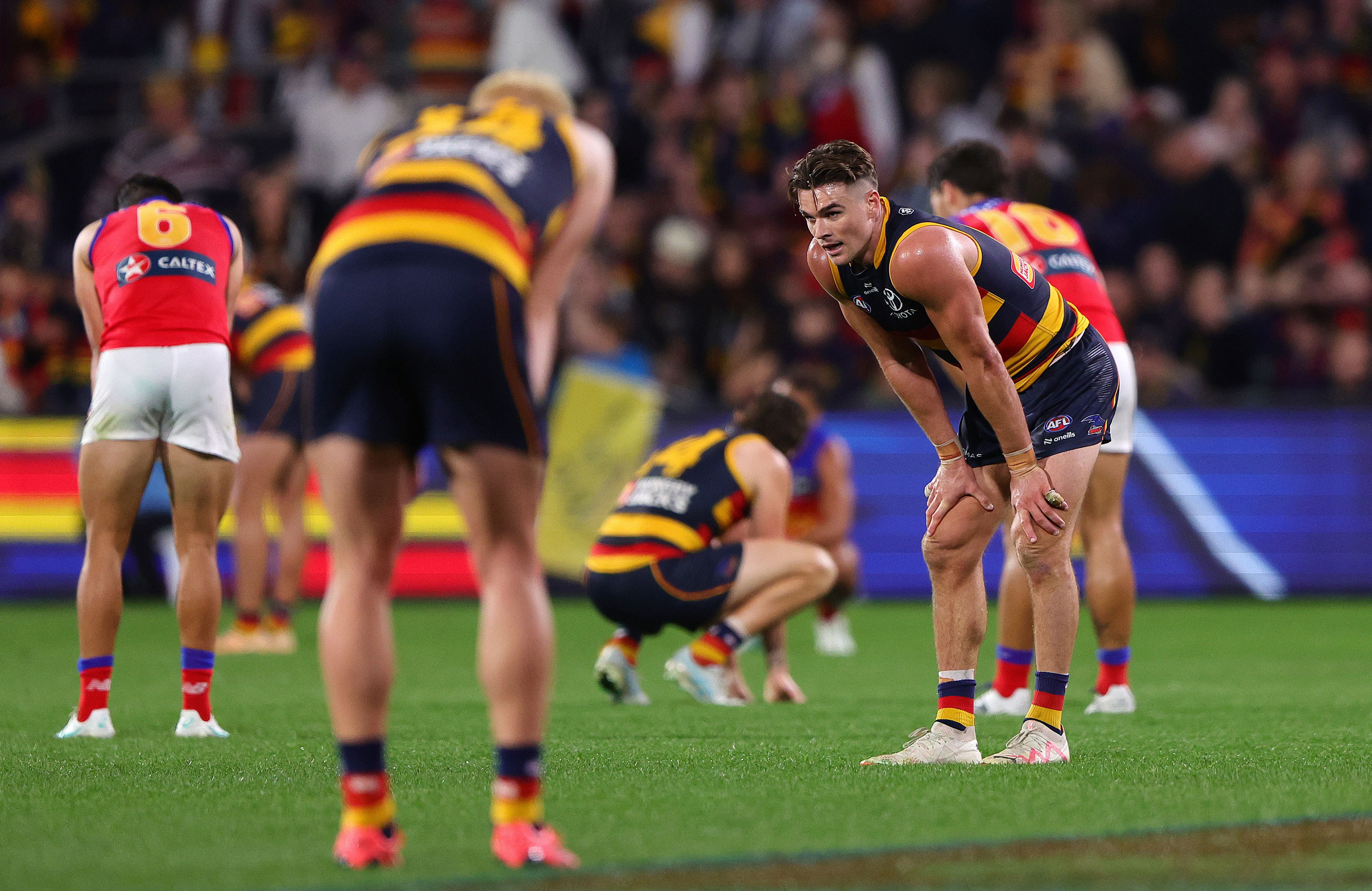 Adelaide Crows - Figure 1