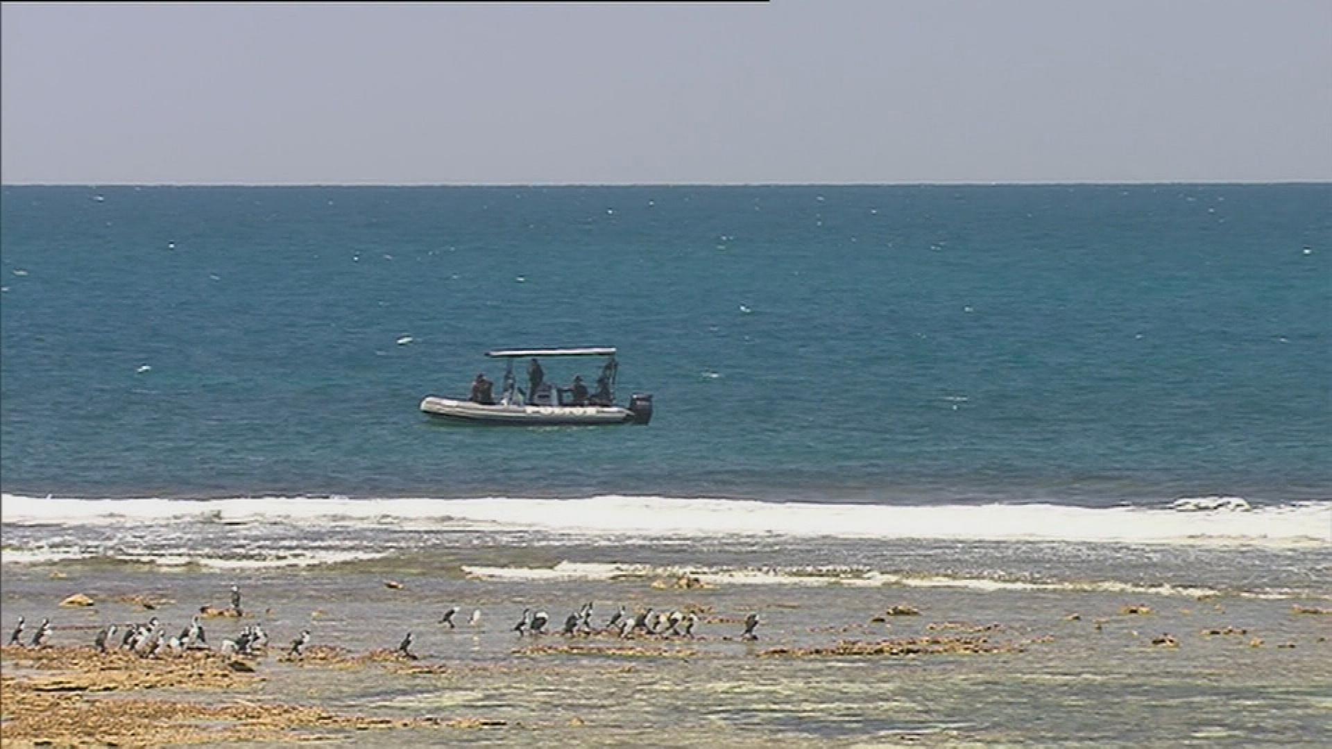 Still no sign of missing teacher feared dead in SA shark attack