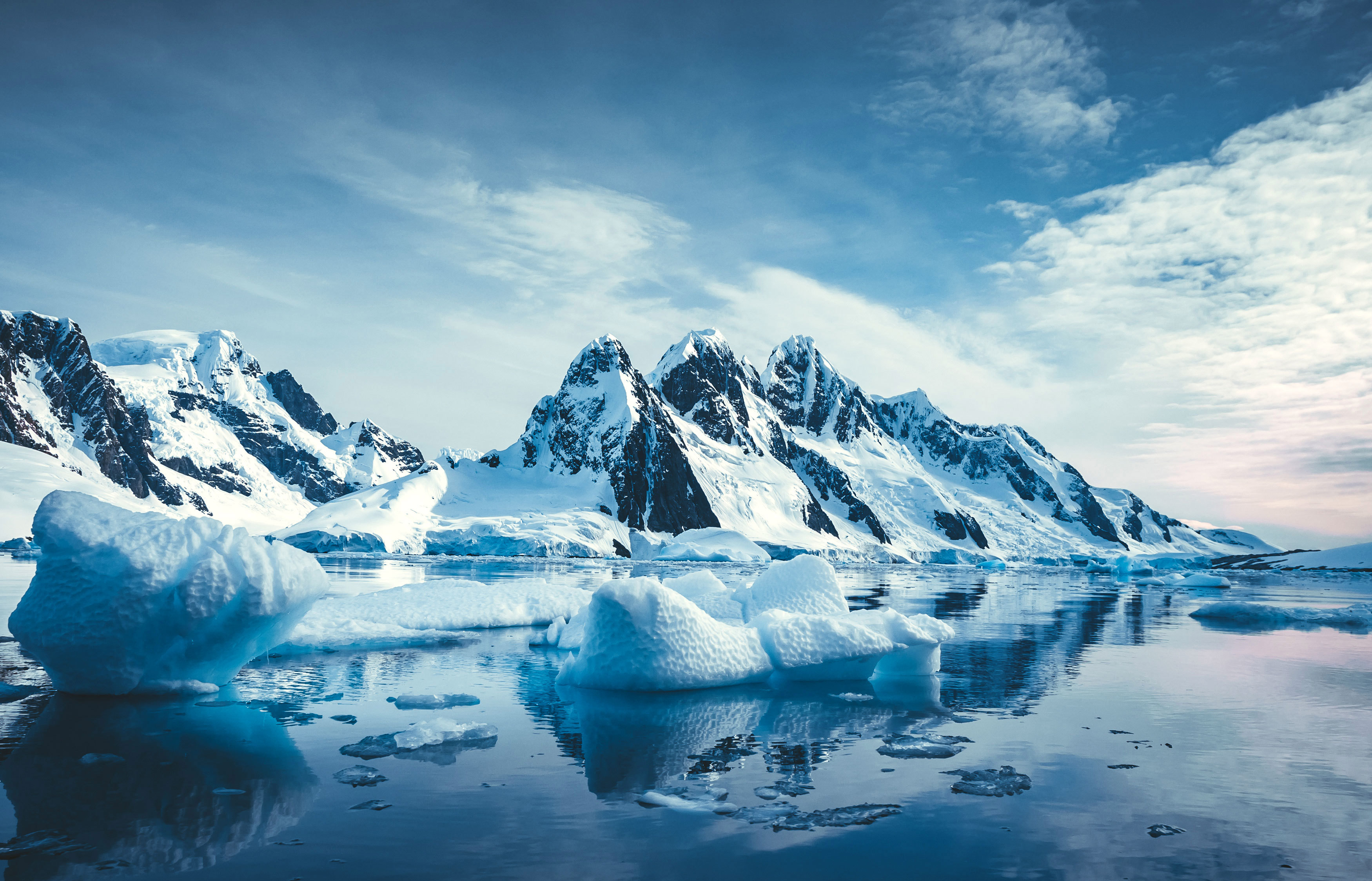 Vast regions of Antarctic coast are exposed that were never bare before.