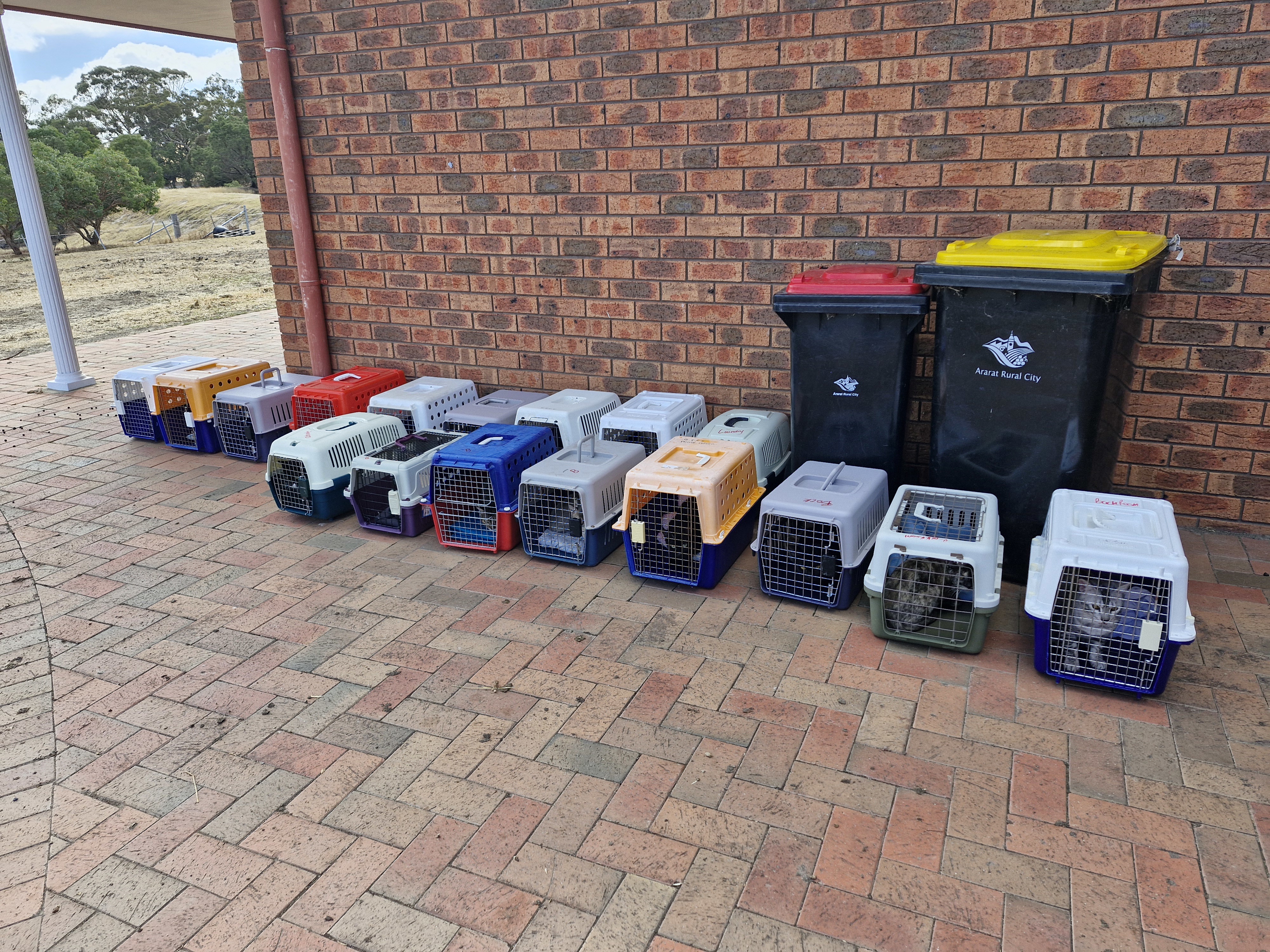 24 cats were taken from the woman, who is not allowed to be in the care of more than five felines.