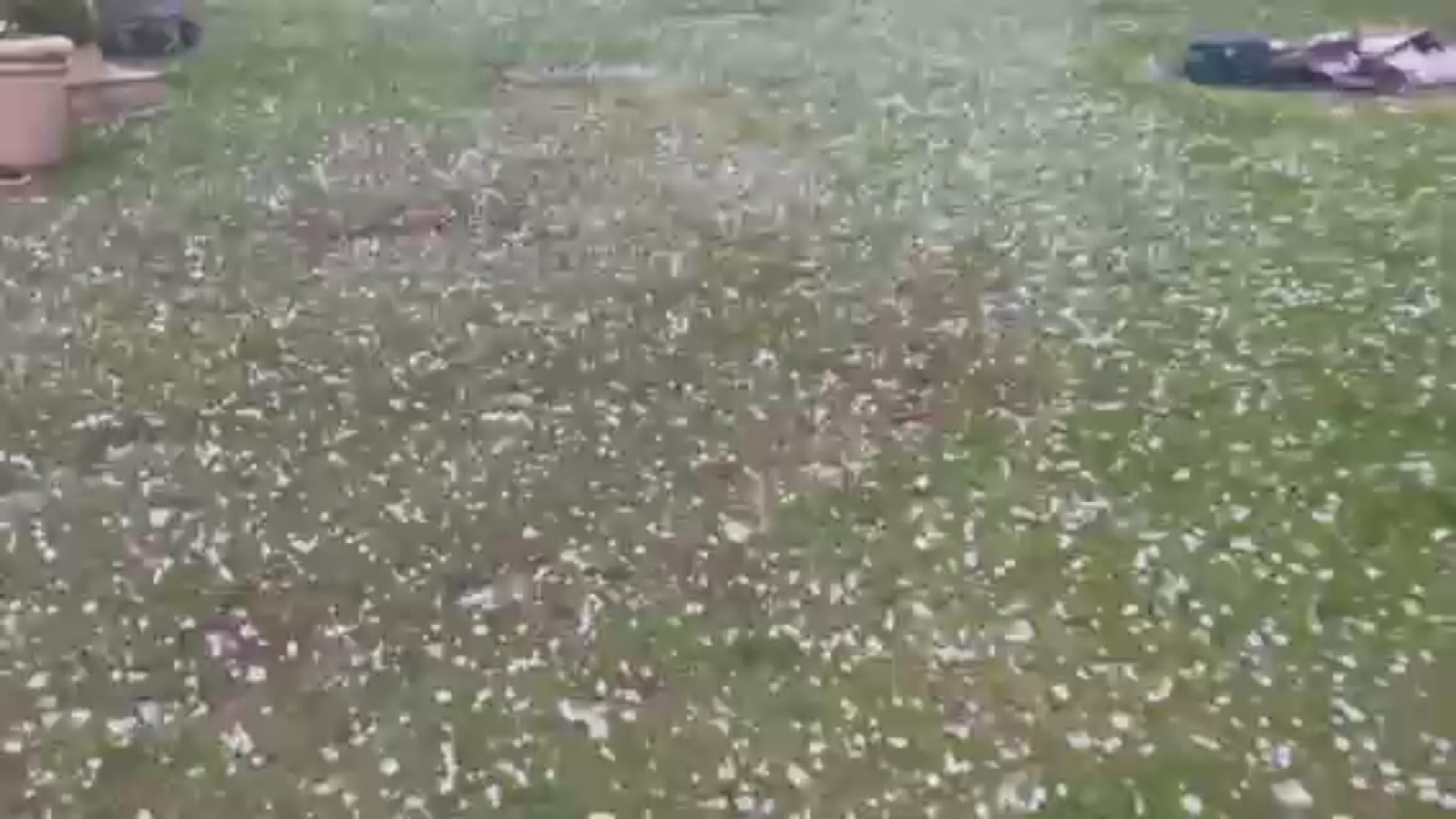 Hail storm wreaks havoc in Sydney's south.