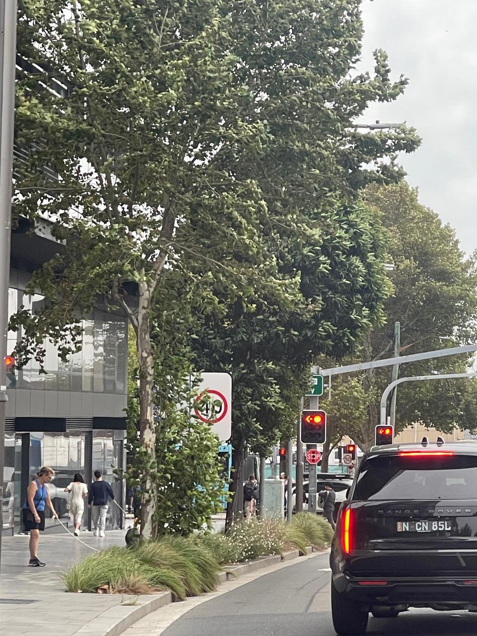 The 40km/h sign on a road in Zetland.