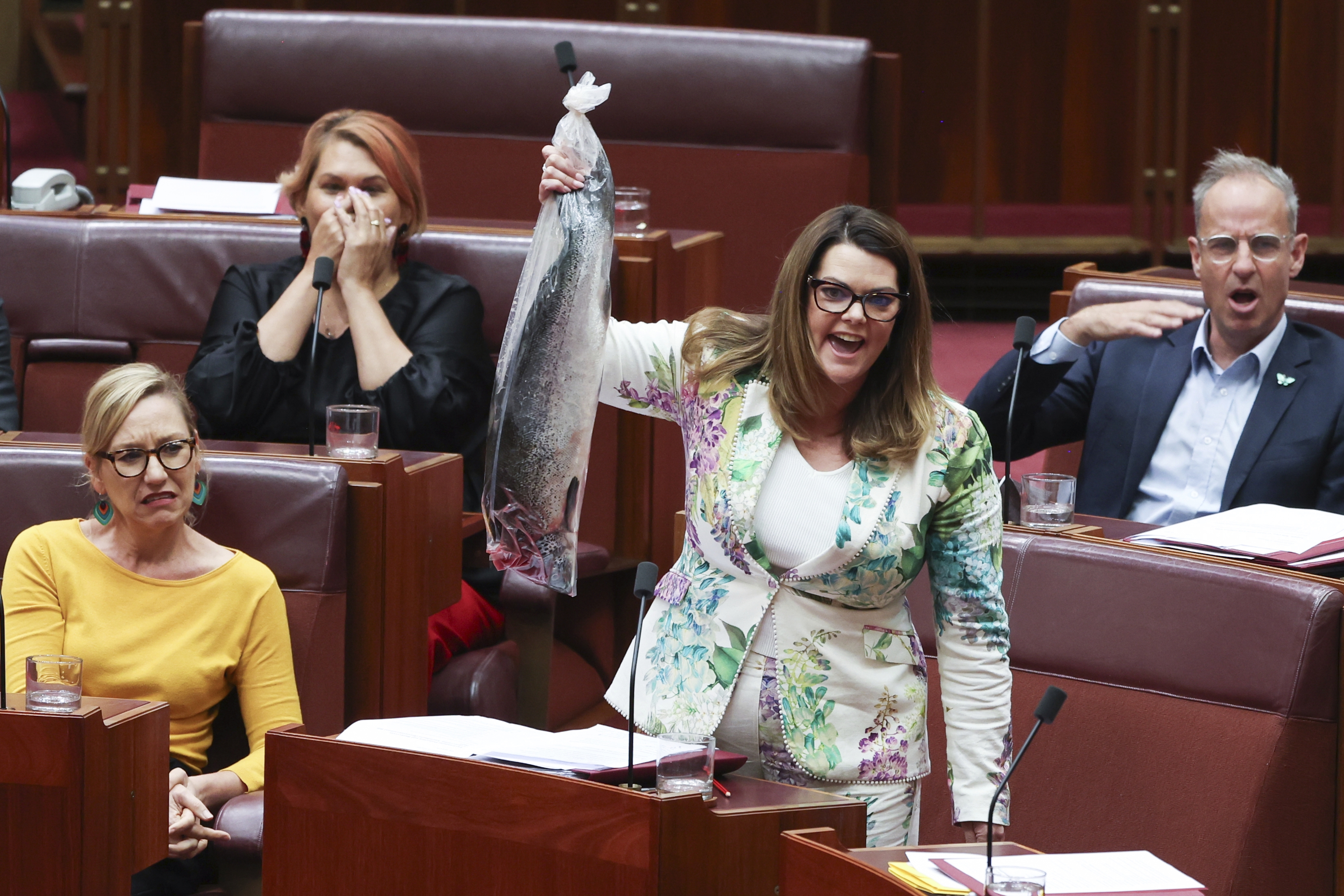 'Rotten, stinking': Shocking act in parliament protesting salmon industry lifeline