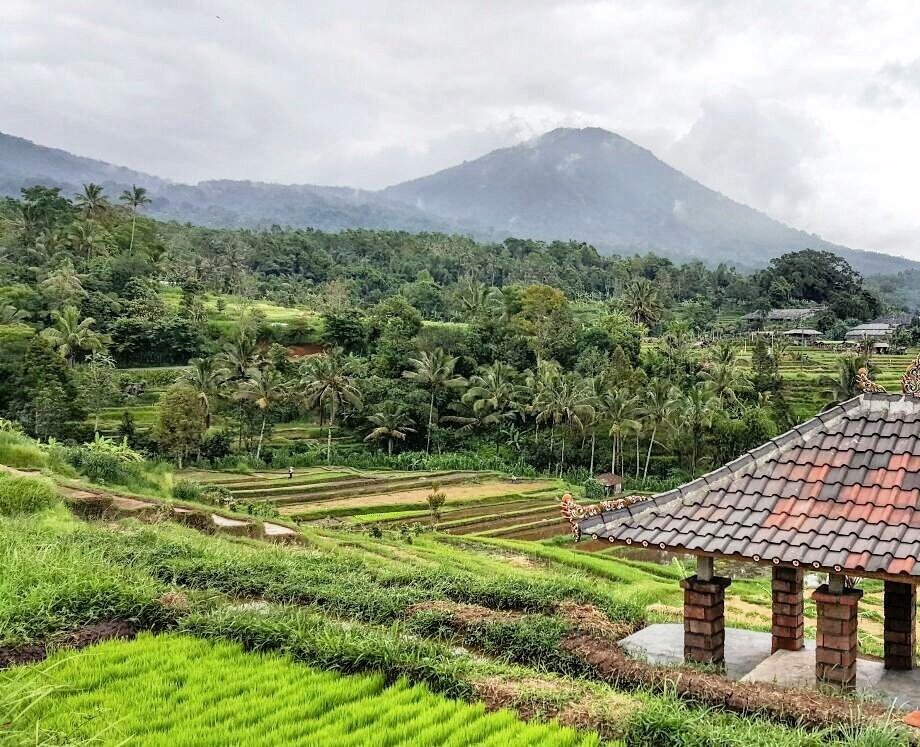 Jatiluwih village generic shot