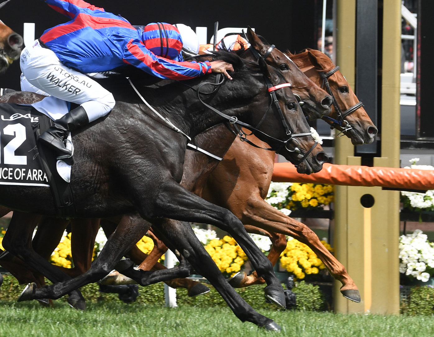 Melbourne Cup horses 2020, form guide, tips from Simon O'Donnell