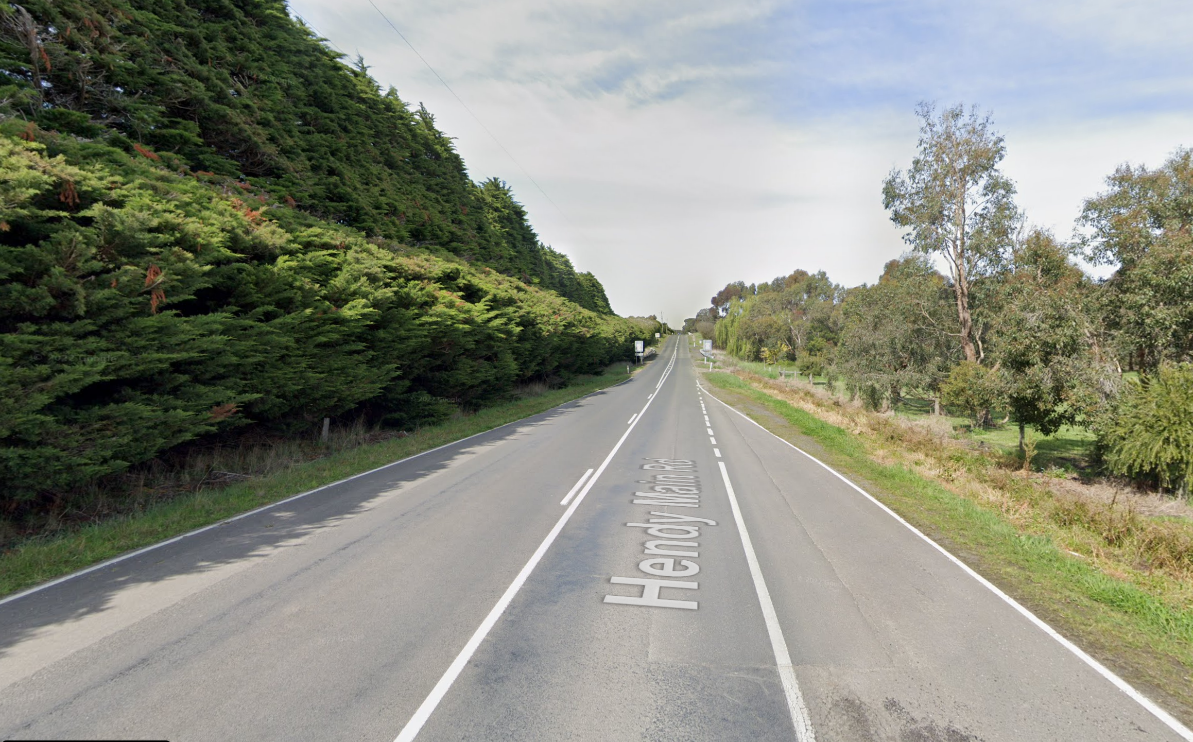 A truck driver has died after he struck cow on Hendy Main Road in Moriac﻿ near Geelong about 6.15am.