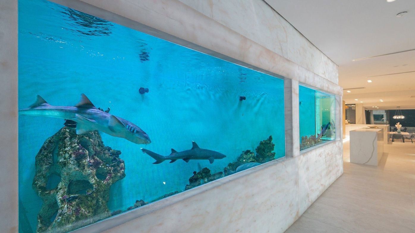 Shark tank aquarium Brisbane unusual luxury design Domain house for sale 