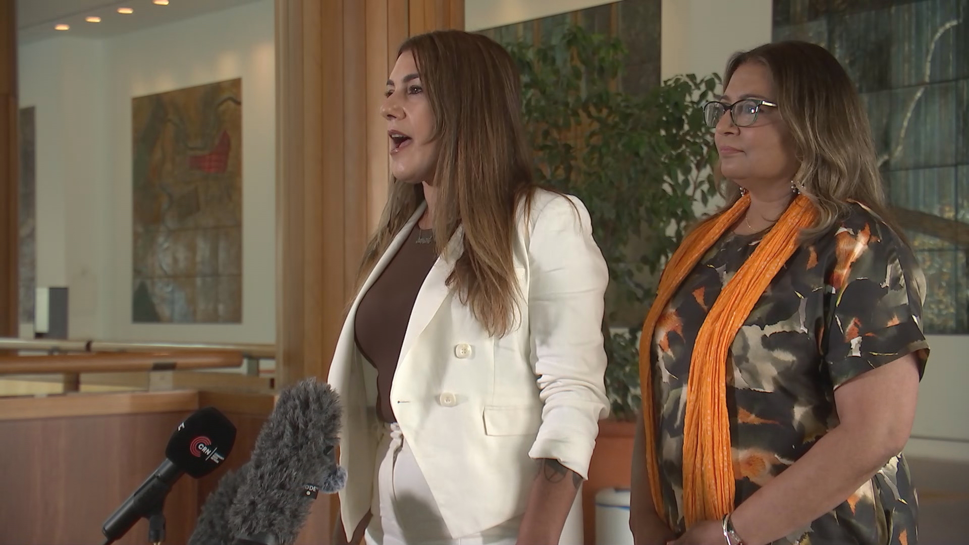 Independent Senator Lidia Thorpe has come together with her former Greens colleague, Senator Mehreen Faruqi, to move a motion to investigate racism in parliament.