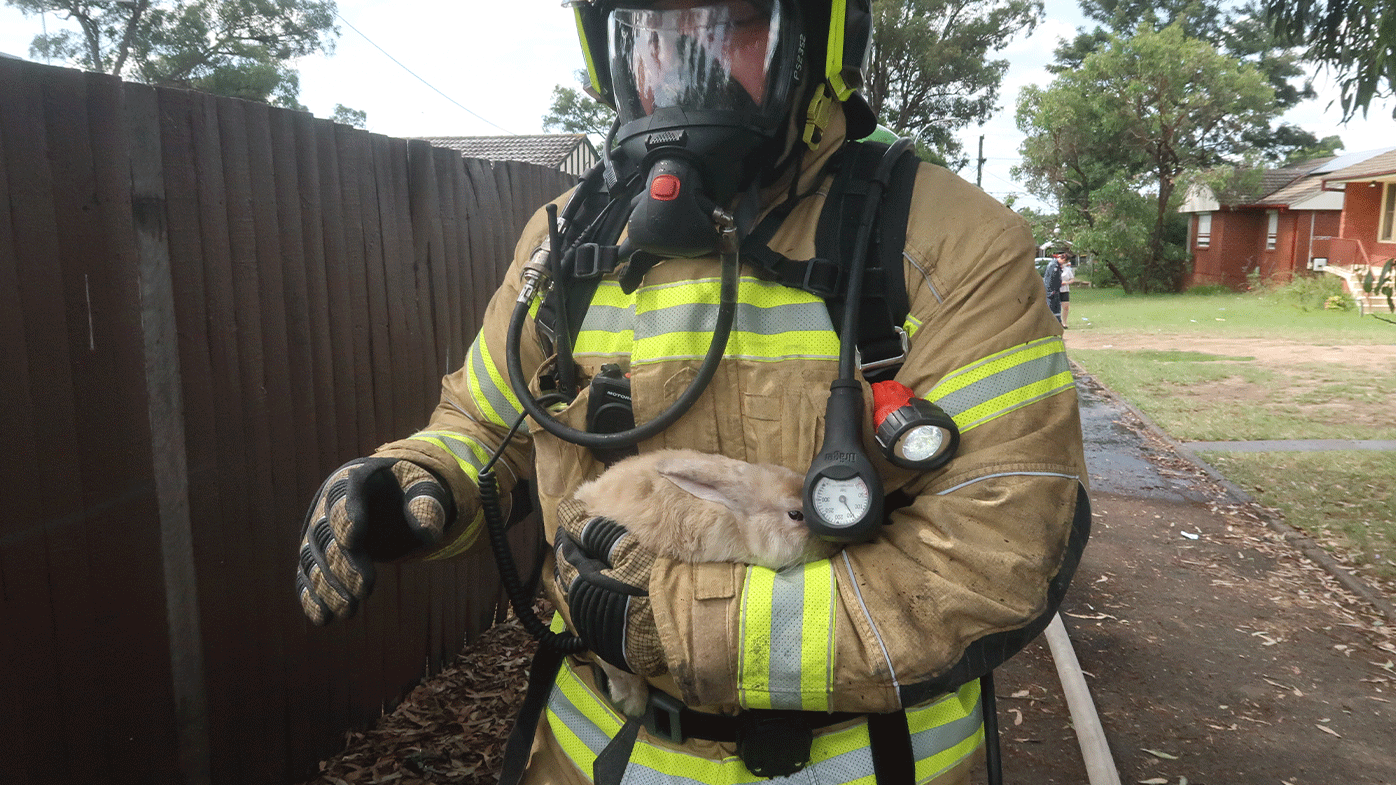 A pet bunny has been rescued from a large house fire in Sydney's west.