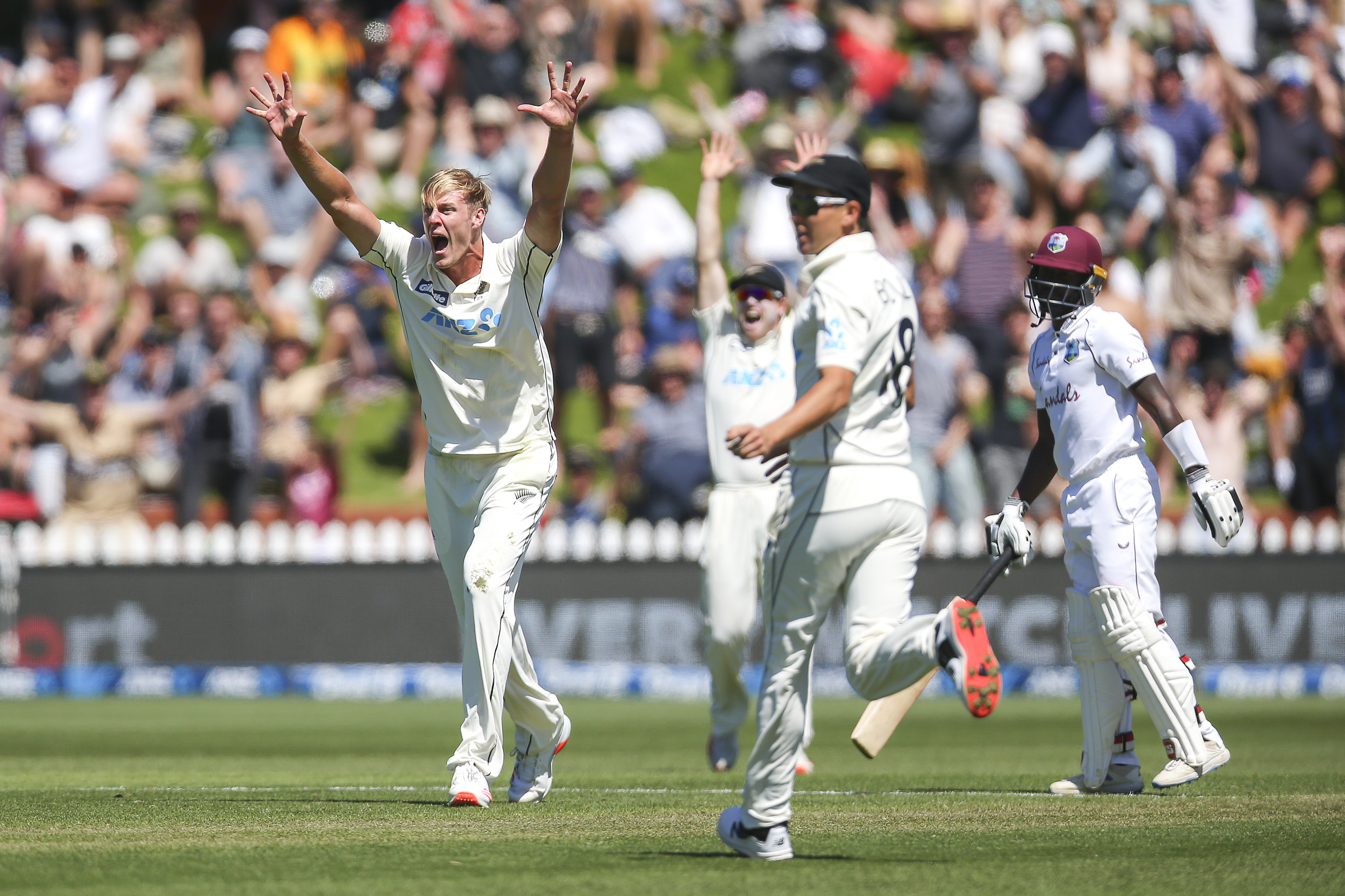 Kyle Jamieson of New Zealand appeals for a wicket at Wellington's Basin Reserve.