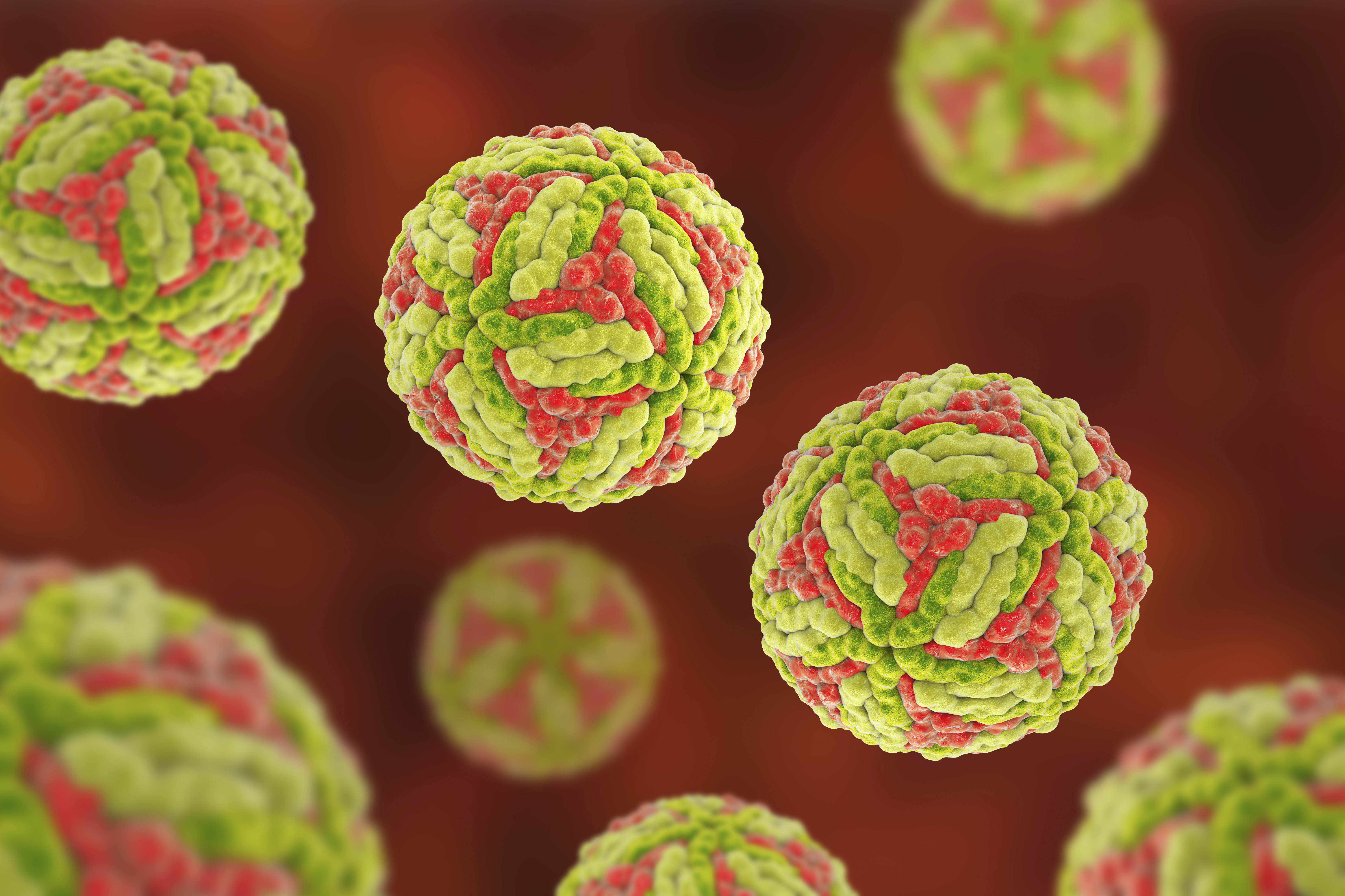 Camper hospitalised for Japanese encephalitis, renewing warnings from NSW Health