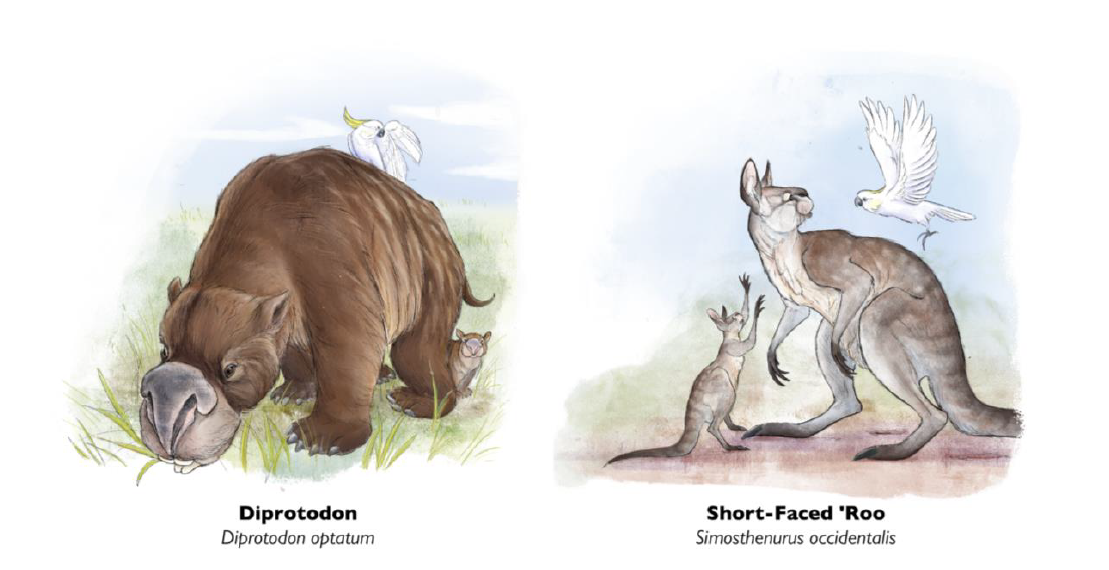 Megafauna