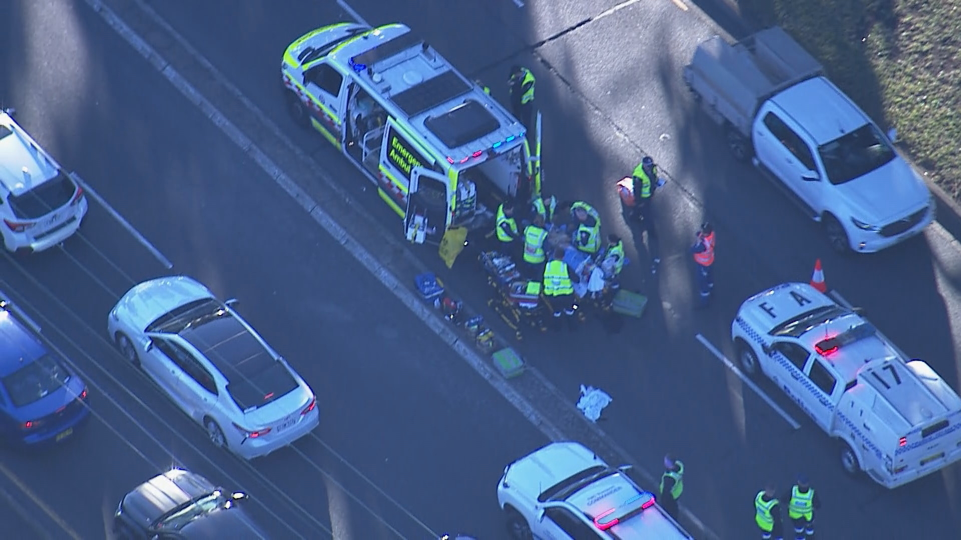 Woman critical after alleged hit and run on pedestrian crossing