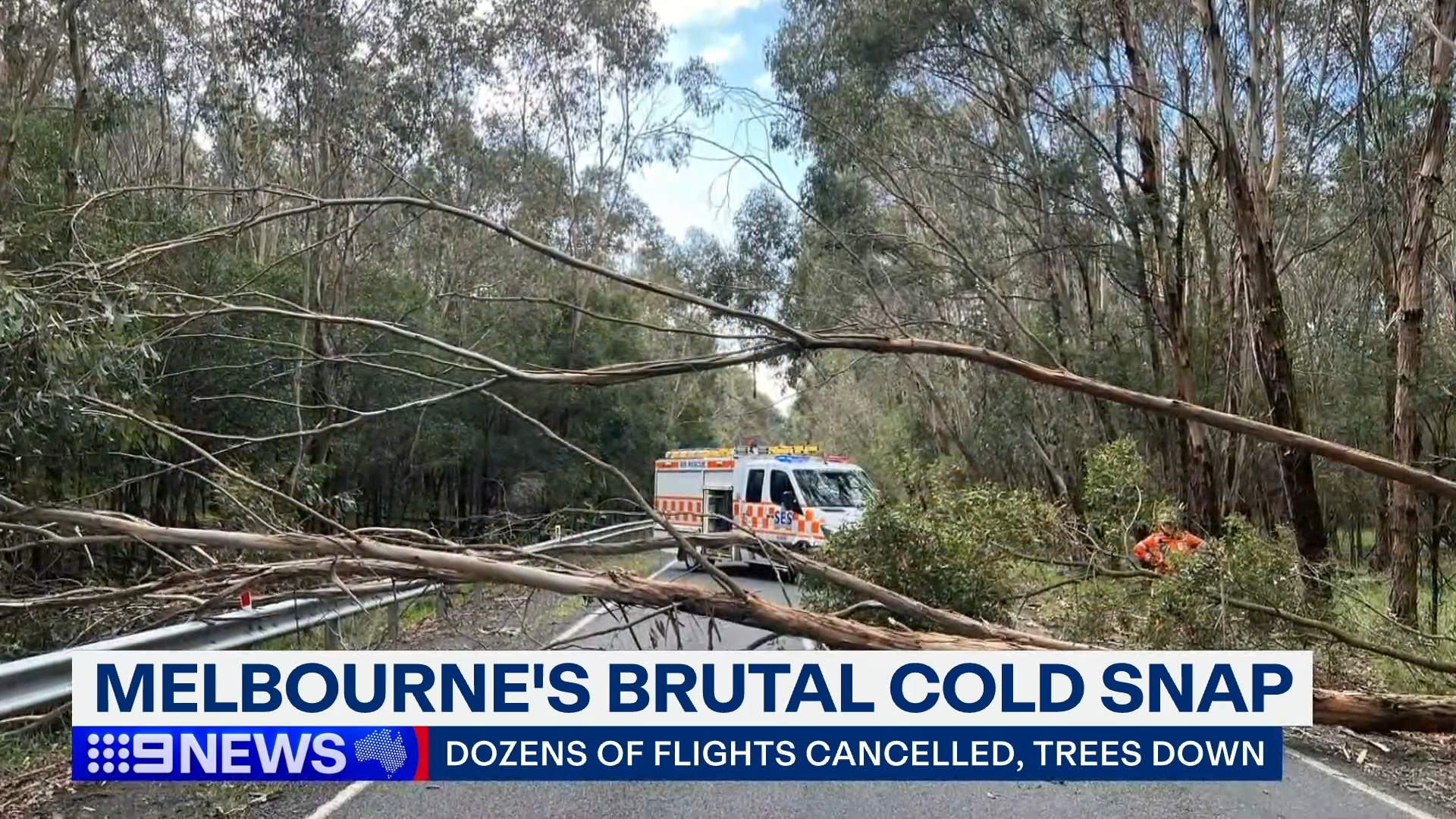 SES Victoria has received more than 430 calls for assistance since midday yesterday.