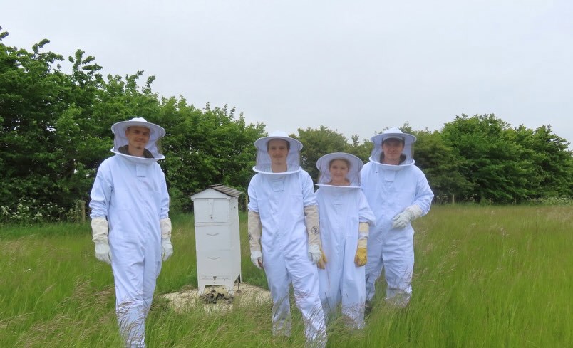 Cruz Beckham, Romeo Beckham, Harper Beckham and Brooklyn Beckham