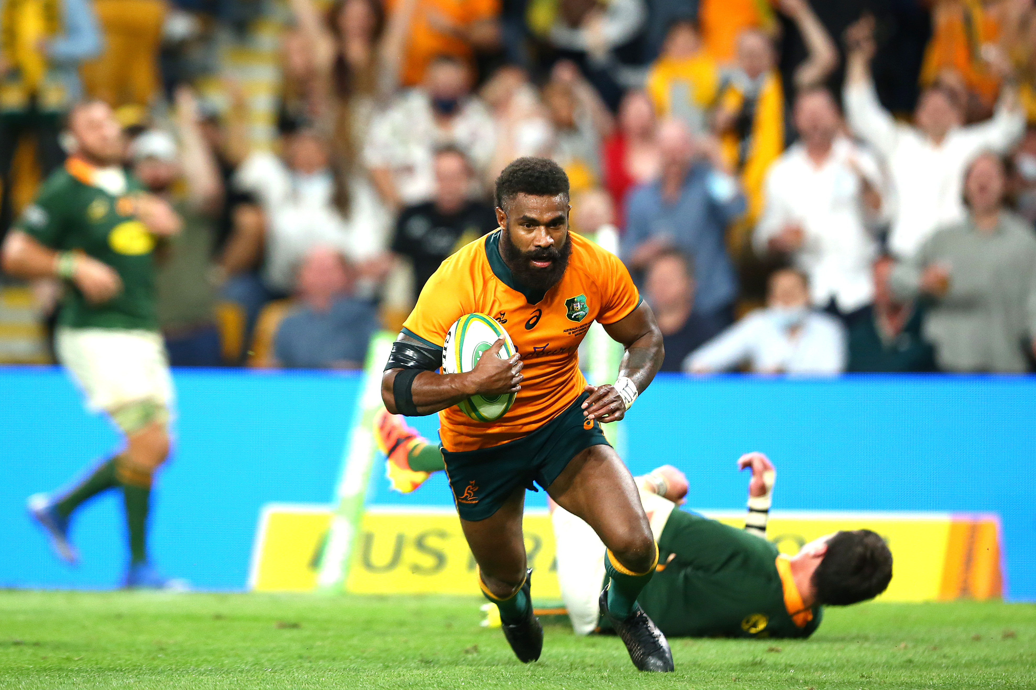 Rugby Championship 2021 Wallabies vs South Africa Springboks LIVE scores Latest rugby union results, news and video highlights from Round 4 at Suncorp Stadium