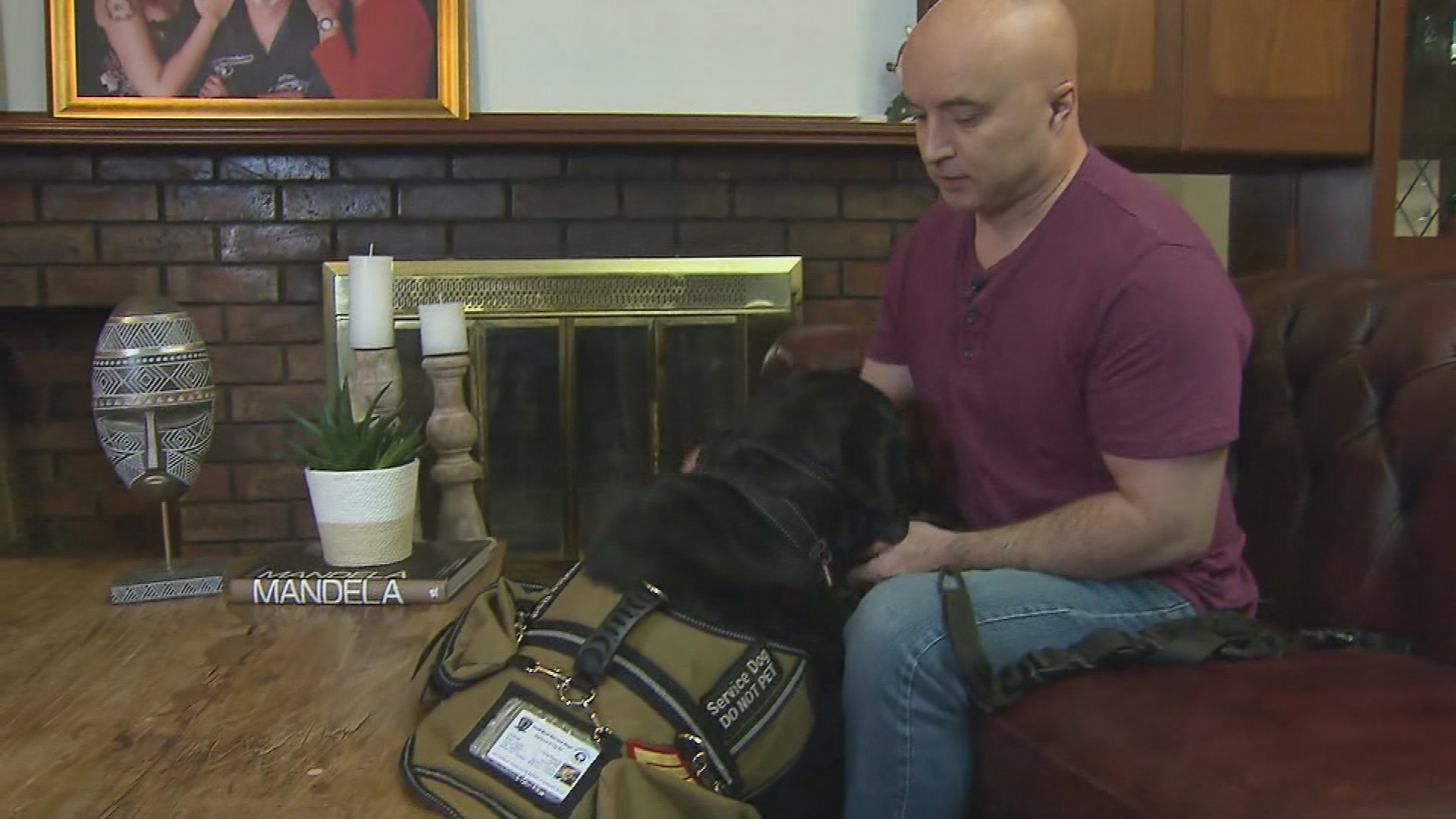 Restaurante de Perth criticado por negar 'humillantemente' a veterano de guerra un perro de servicio