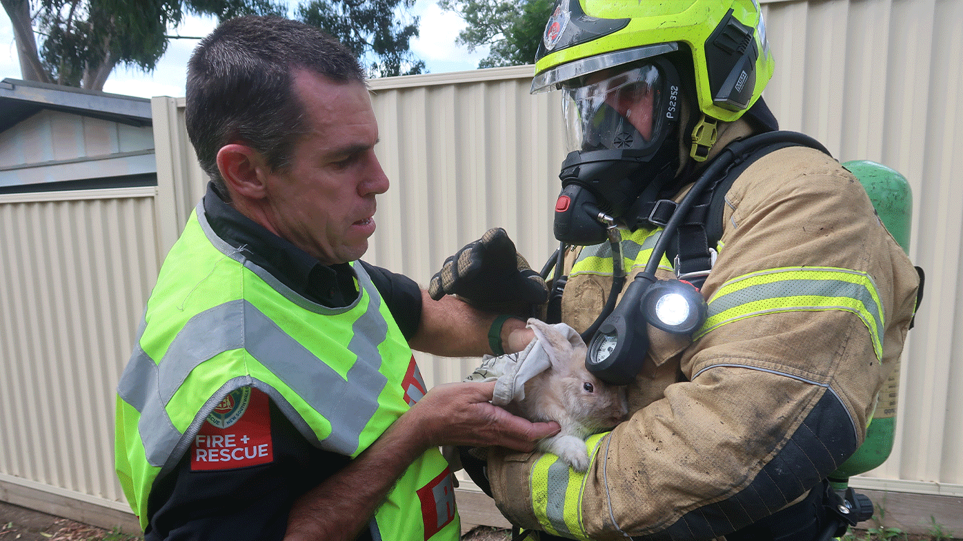 A pet bunny has been rescued from a large house fire in Sydney's west.