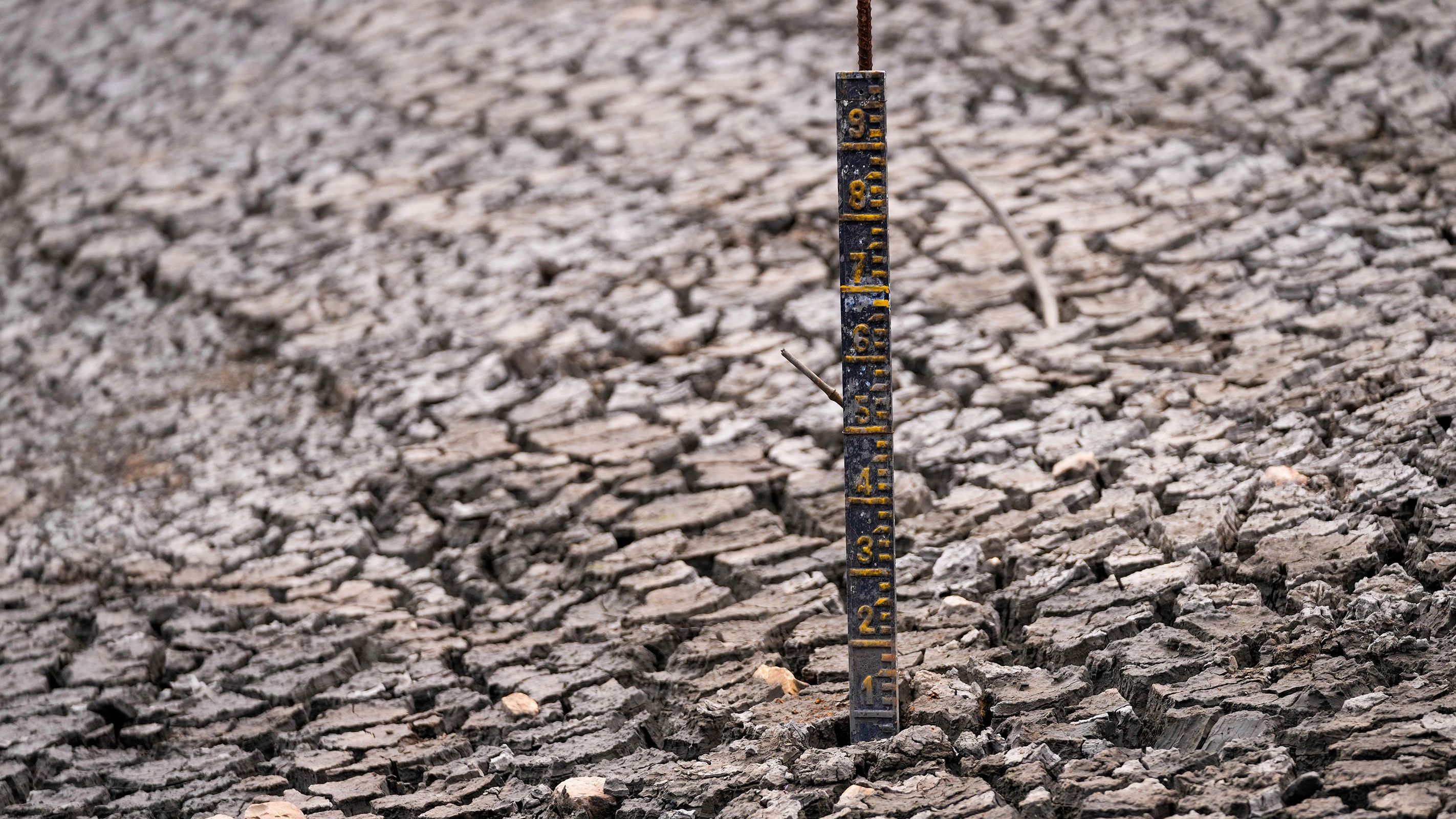 Bogota Water