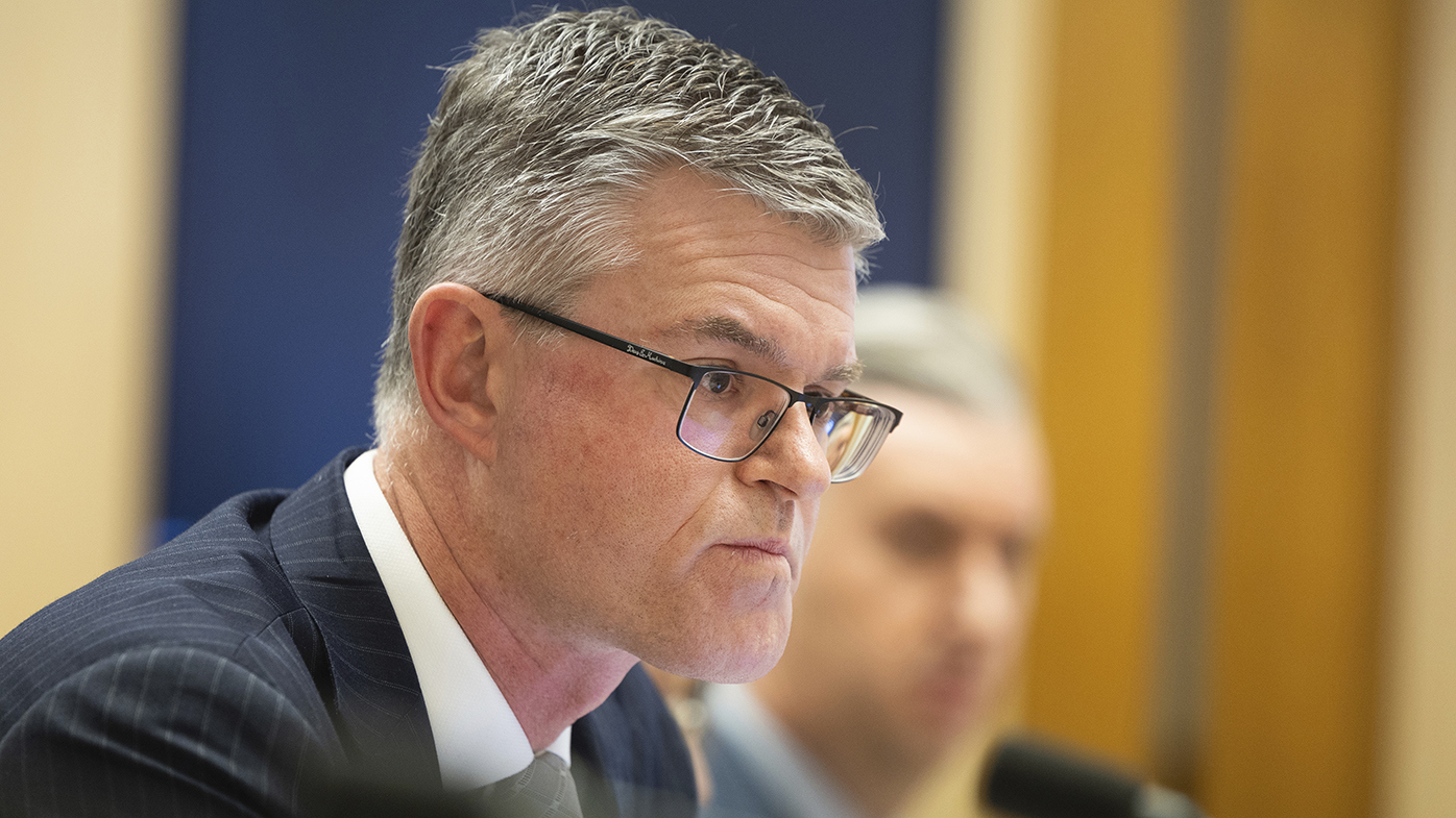 Rob Stefanic was sacked by the parliament's presiding officers